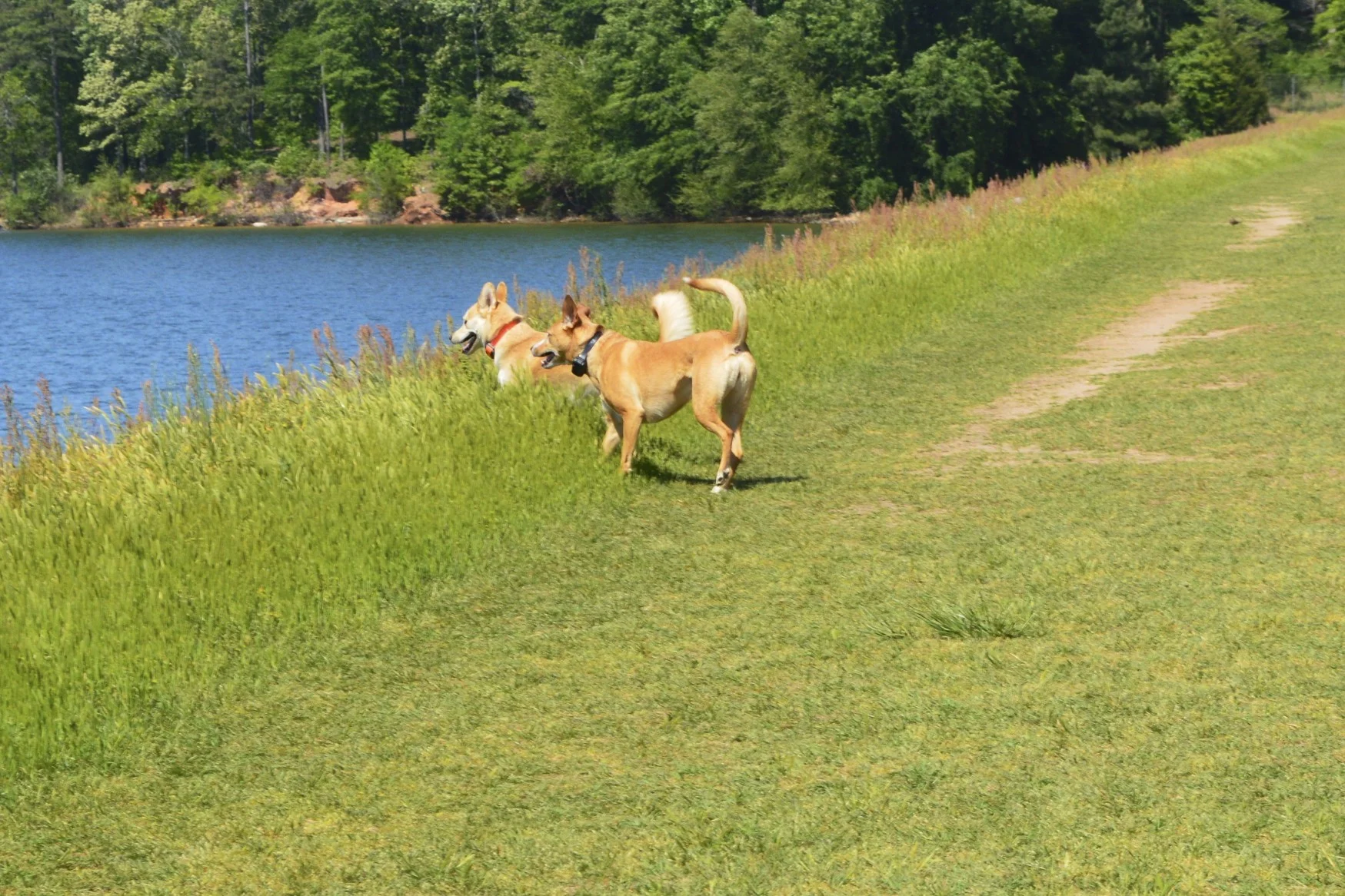 DSC_0181.jpg