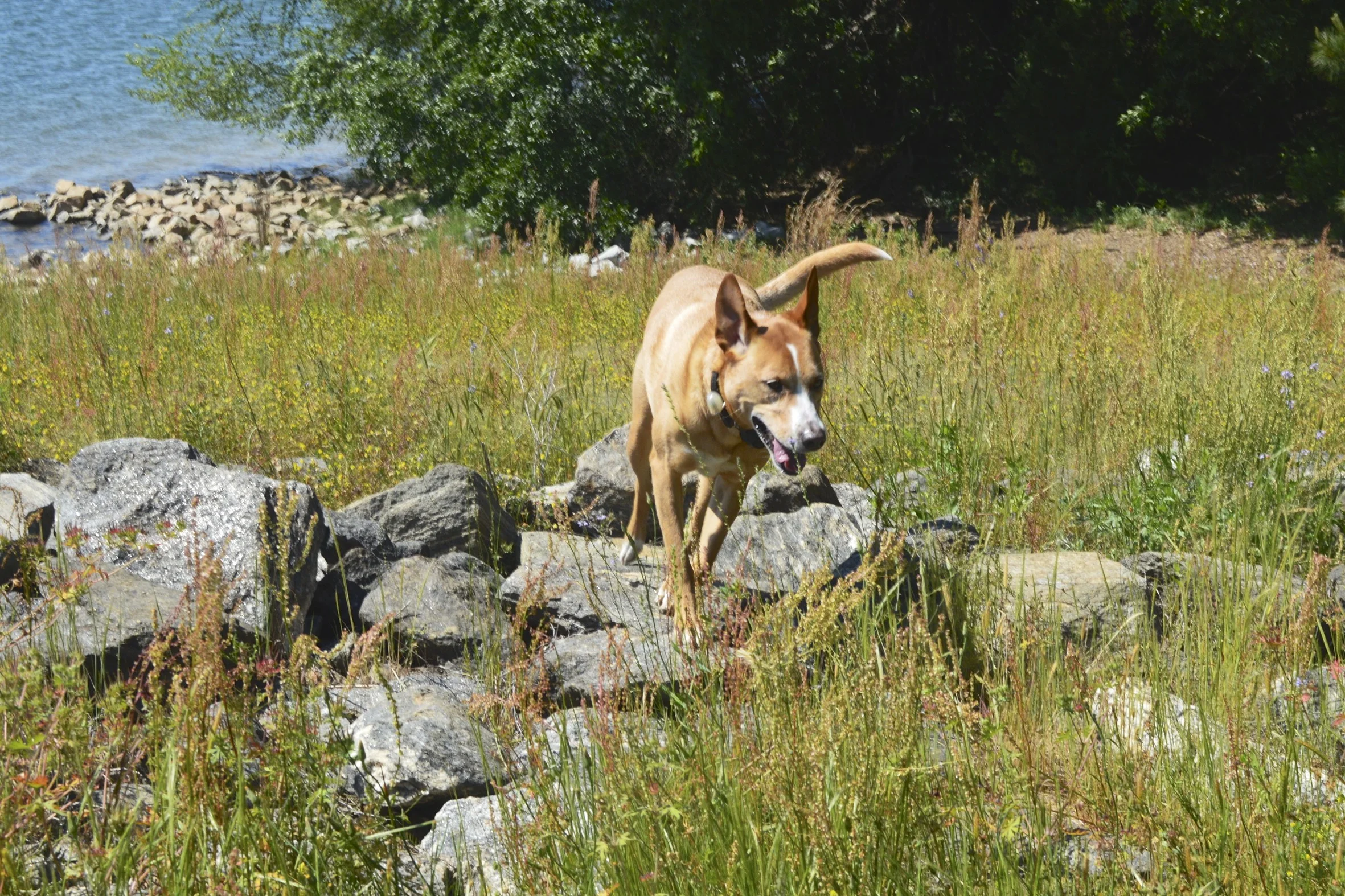 DSC_0198.jpg