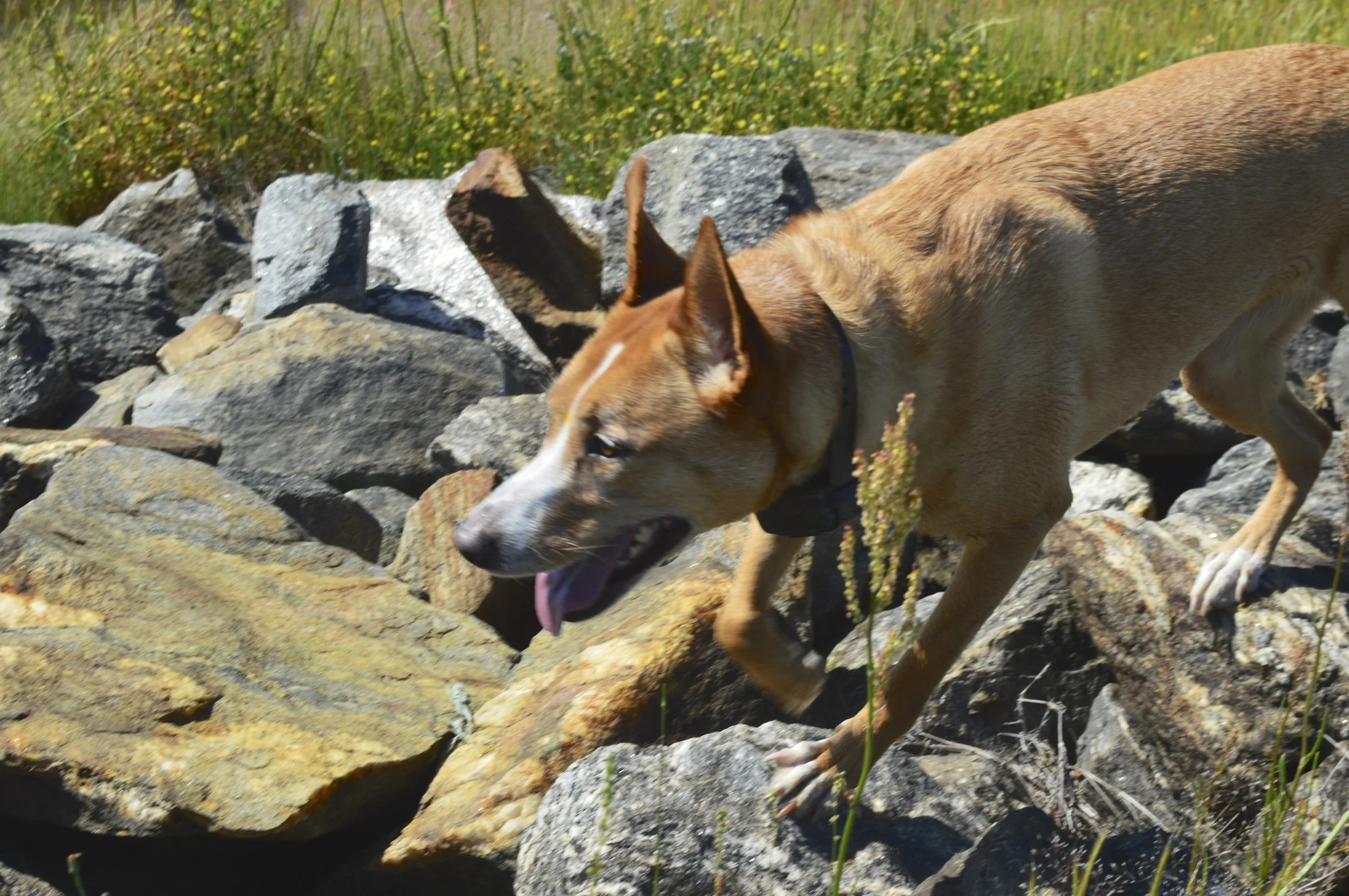 DSC_0248.jpg