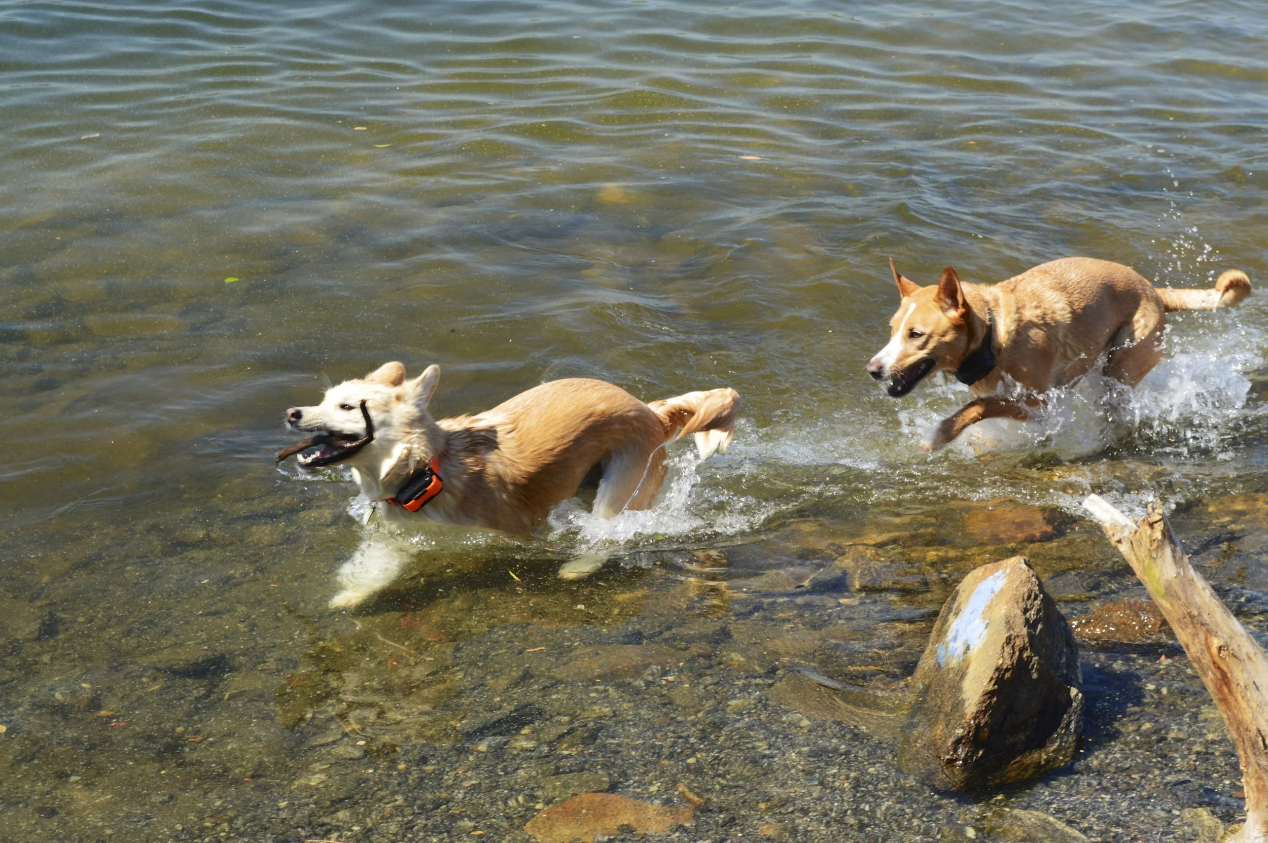 DSC_0297.jpg