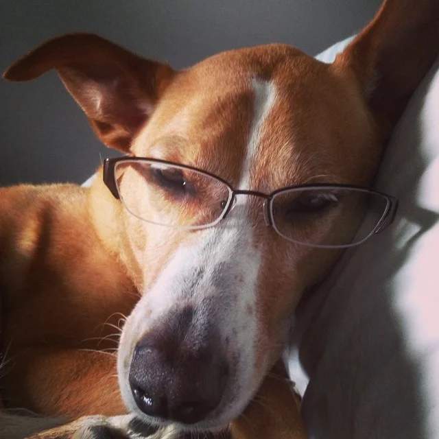 I mean, I am sort of an old grumpy grammar dog, after all. 