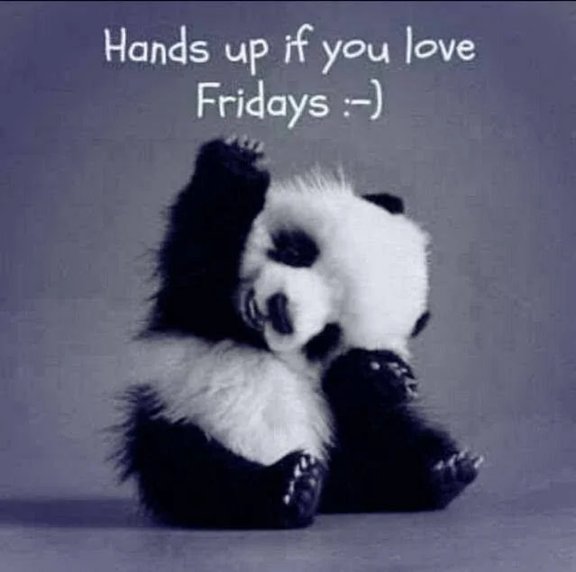 I've become a little obsessed with all the cute things I see on Pinterest lately. Enjoy this baby panda. 