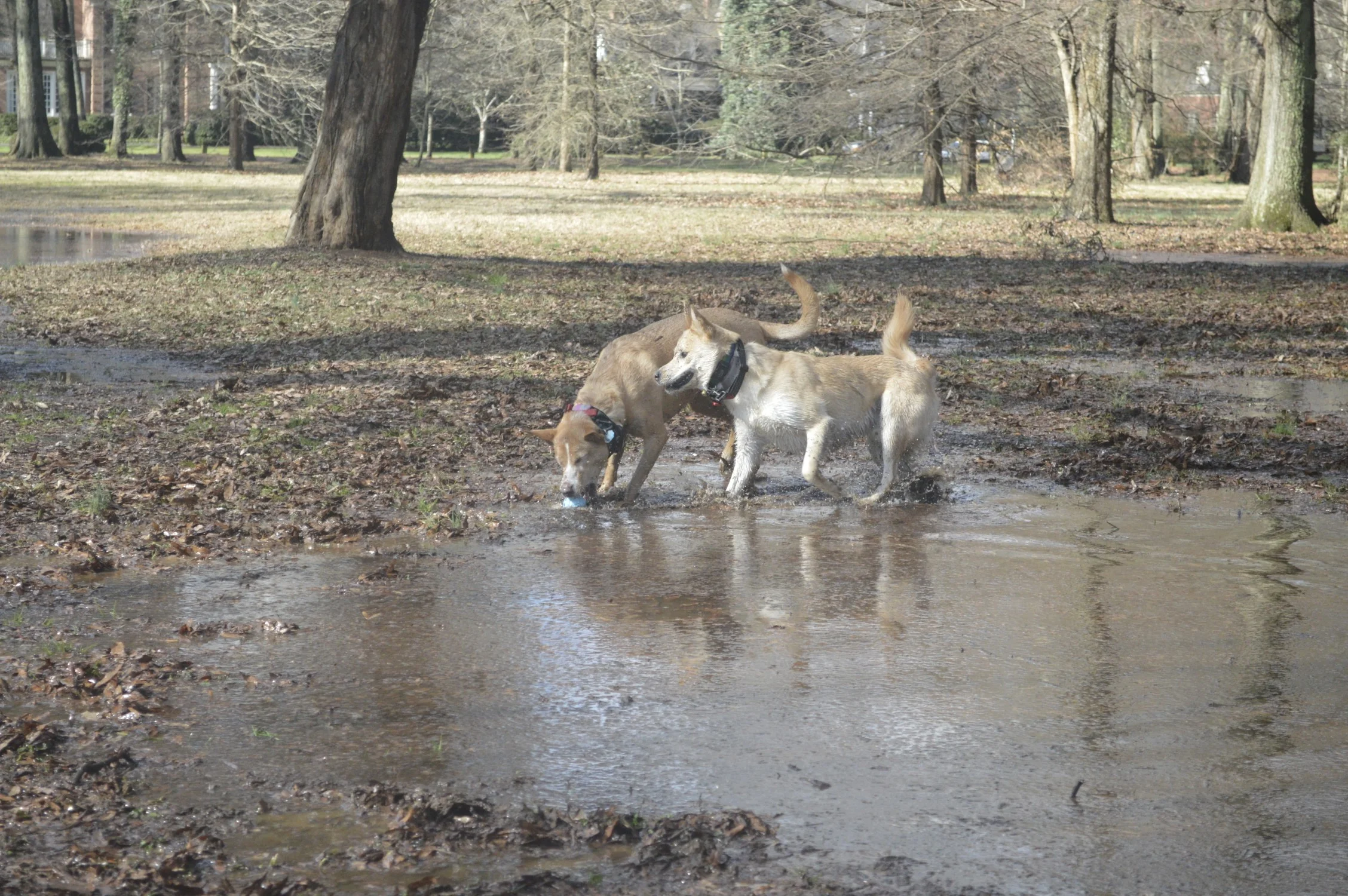 DSC_0206.jpg