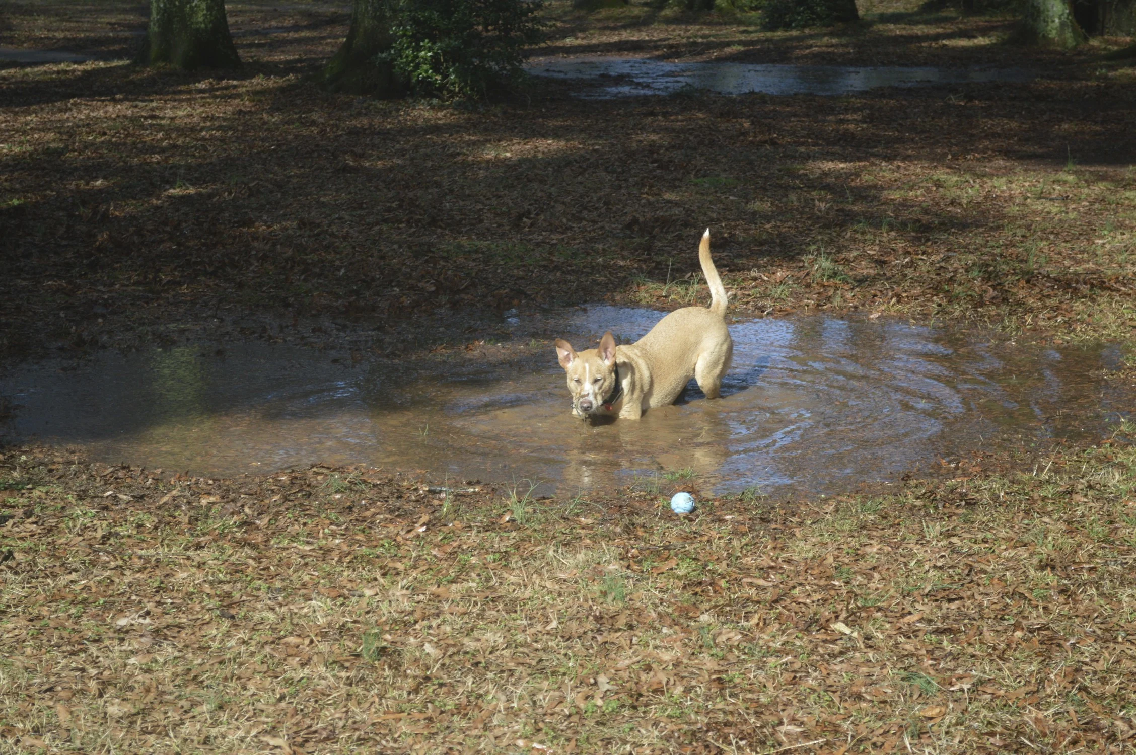 DSC_0224.jpg