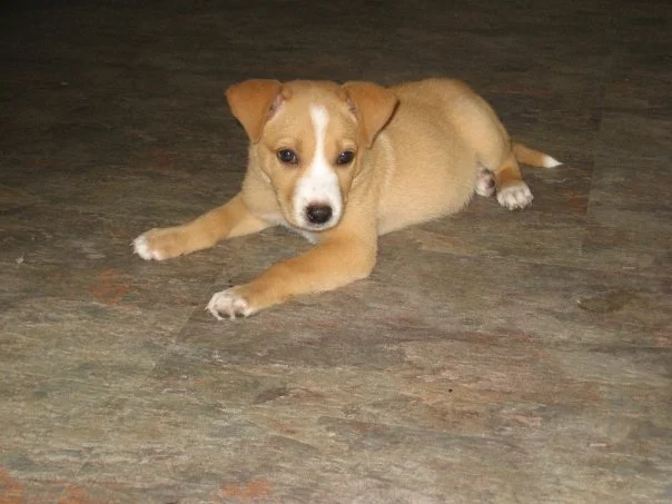 I know this was Louisiana because of the ugly floor; it was about the only thing I didn't destroy. 