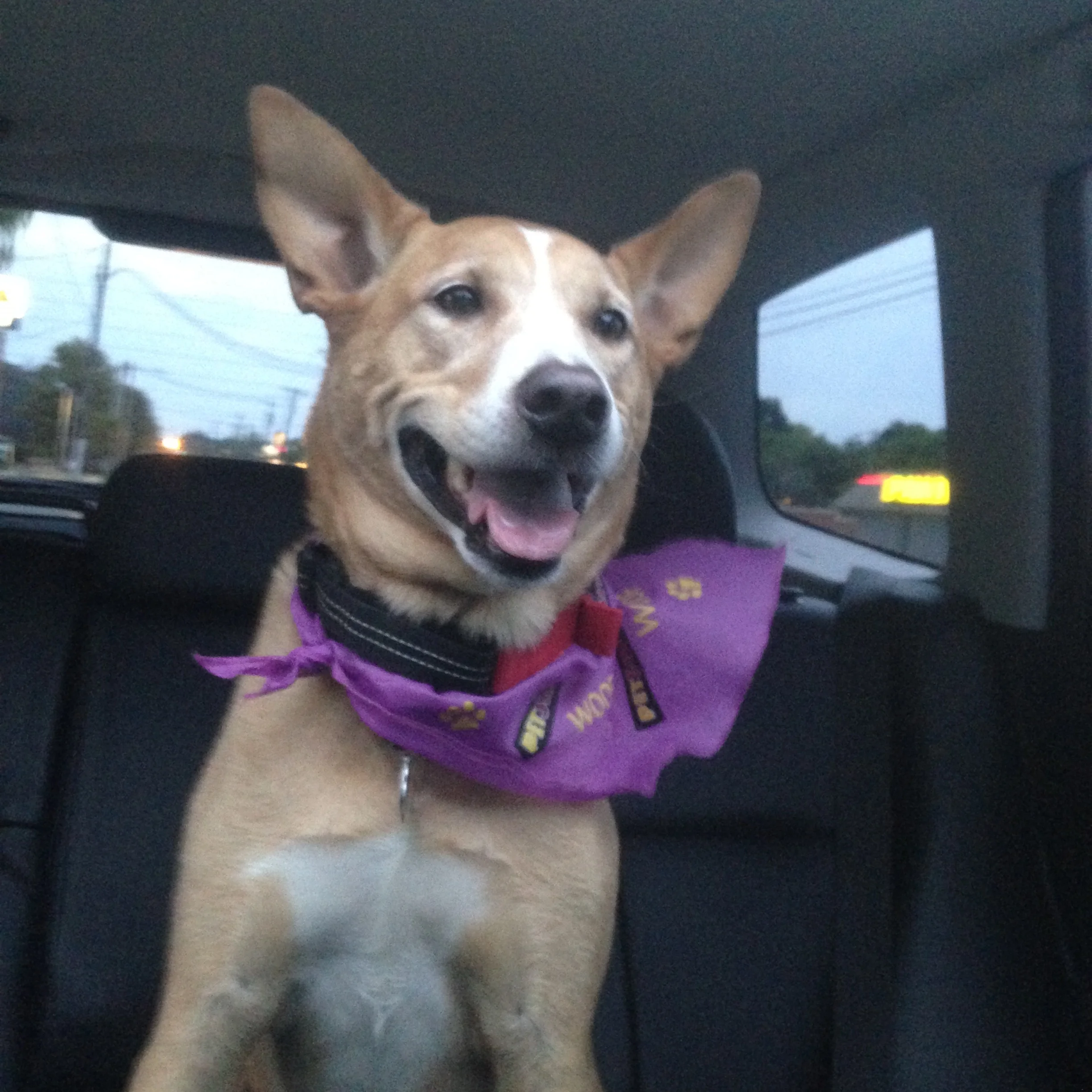 On the way home, I'm like, "Yey! Lenny Boy Brewing rocks!" 