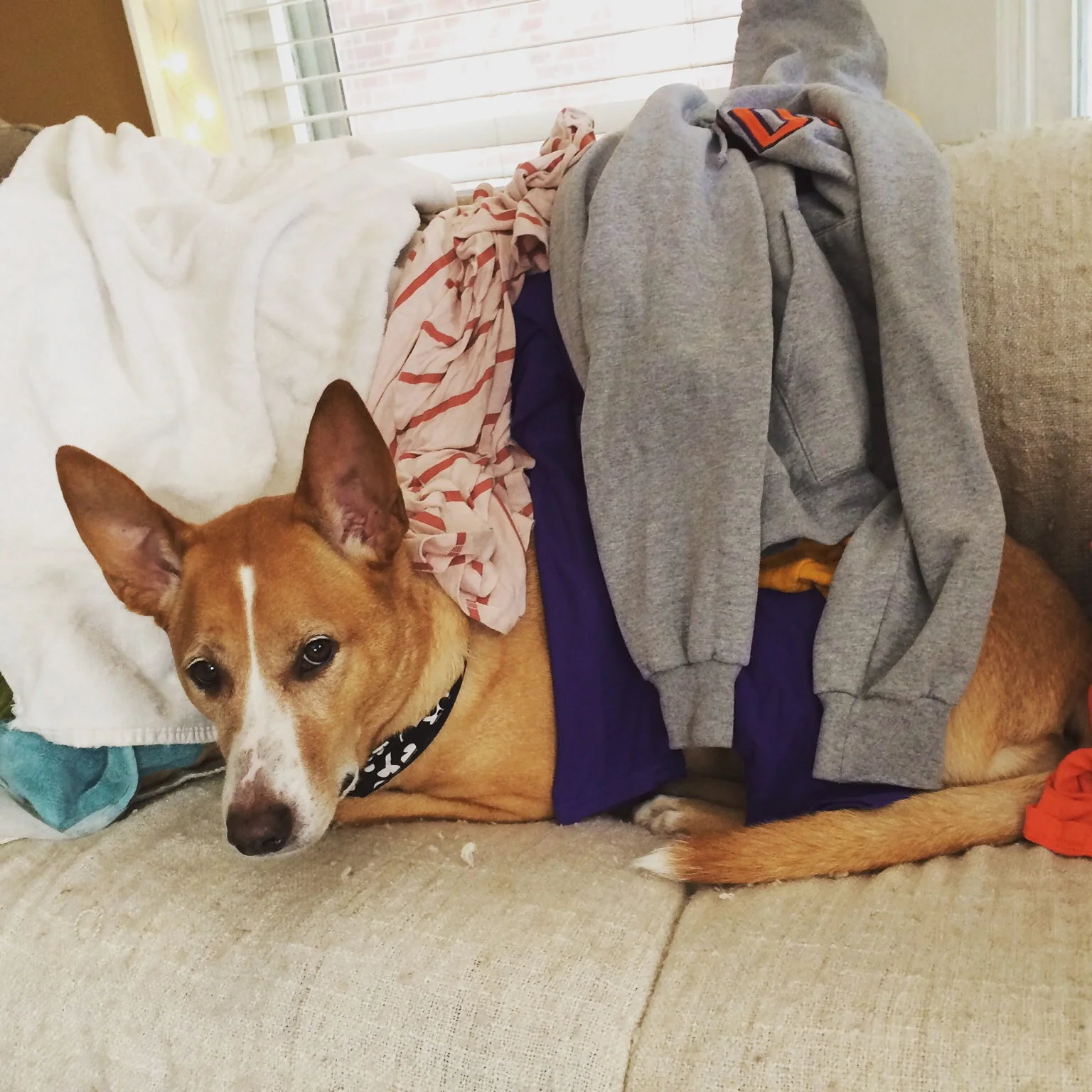 So bored I helped with the laundry. 