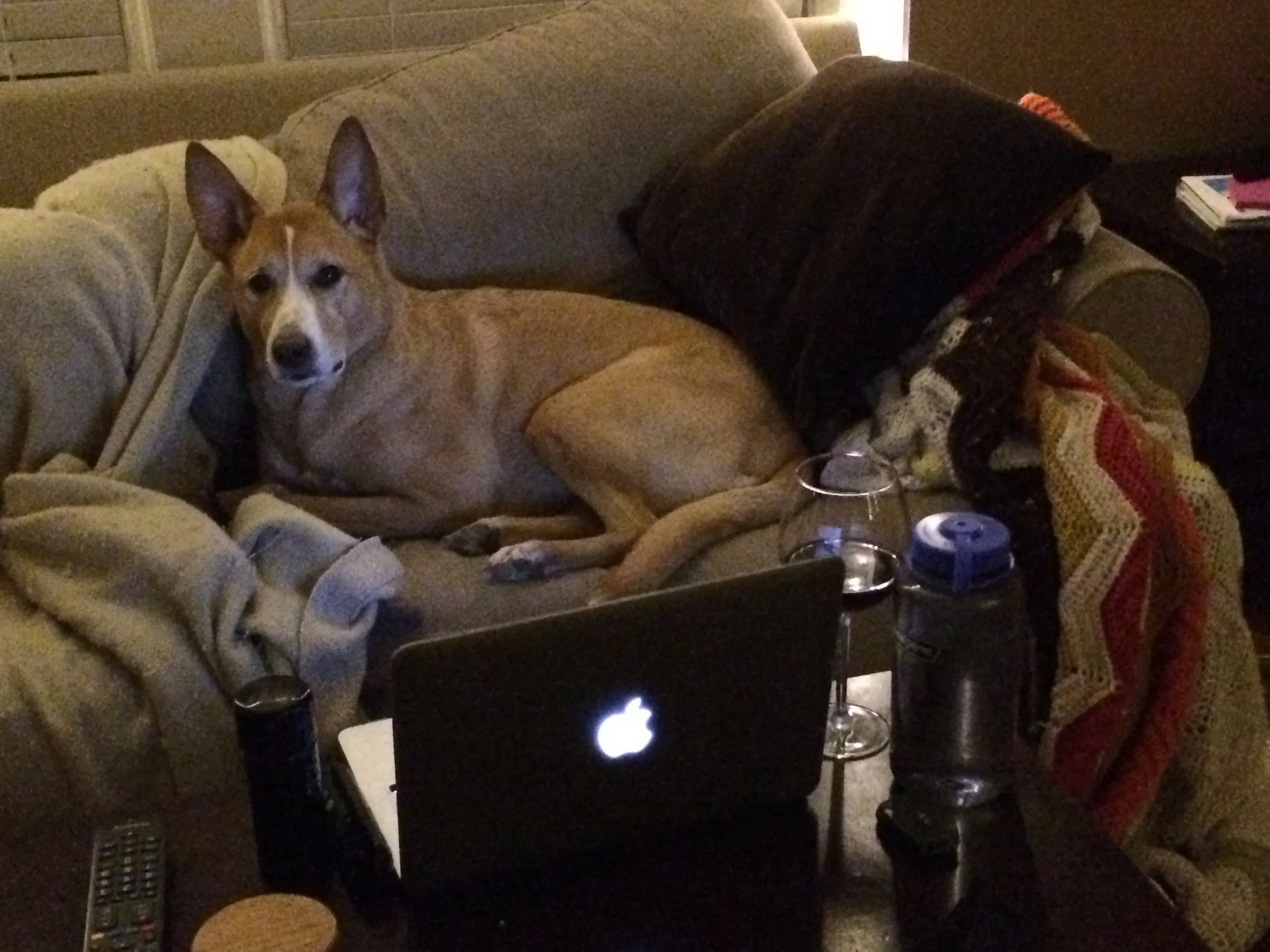 I even helped Mom with her grading. 