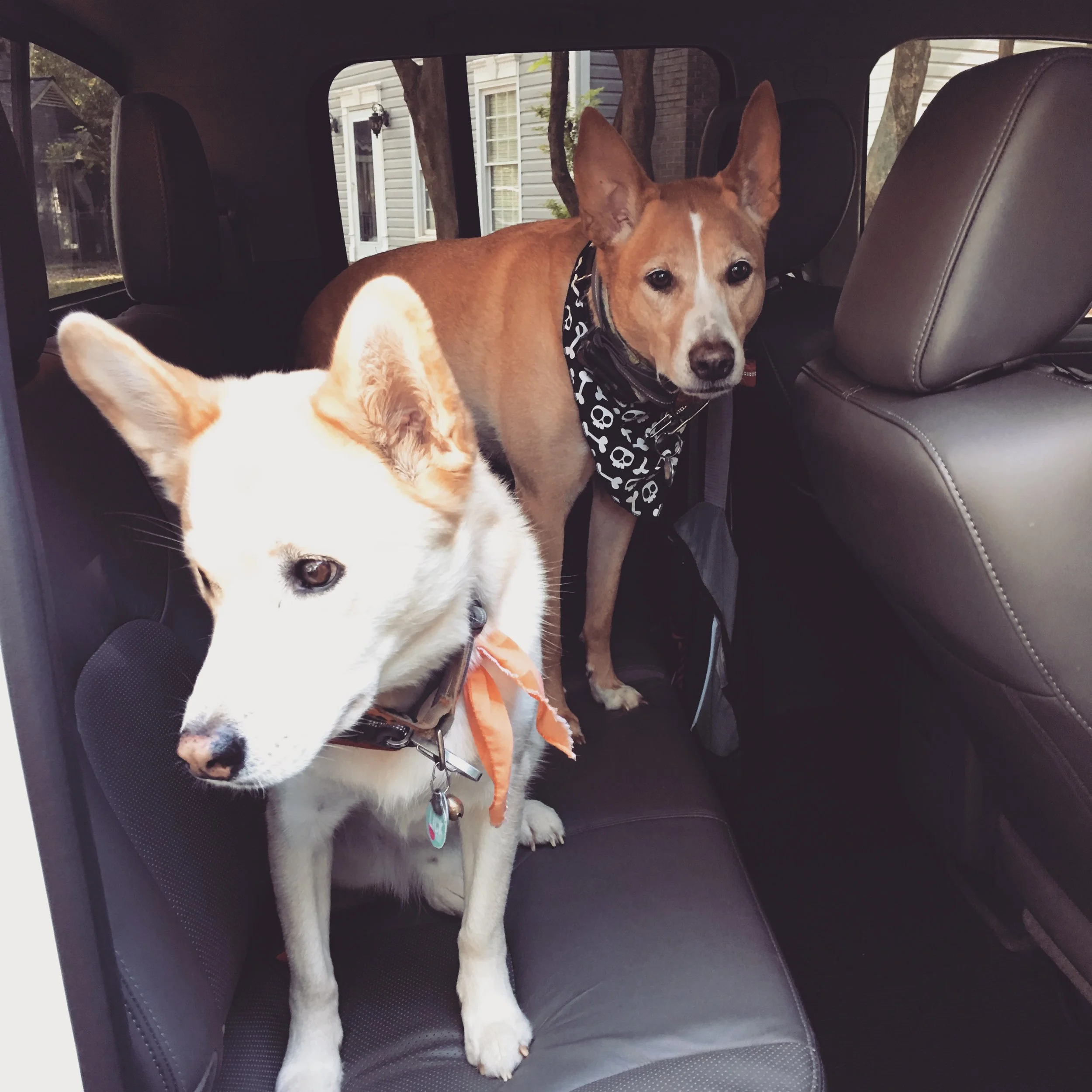 We might have hopped in the truck way before our people were ready to leave, but we waited patiently. :) 
