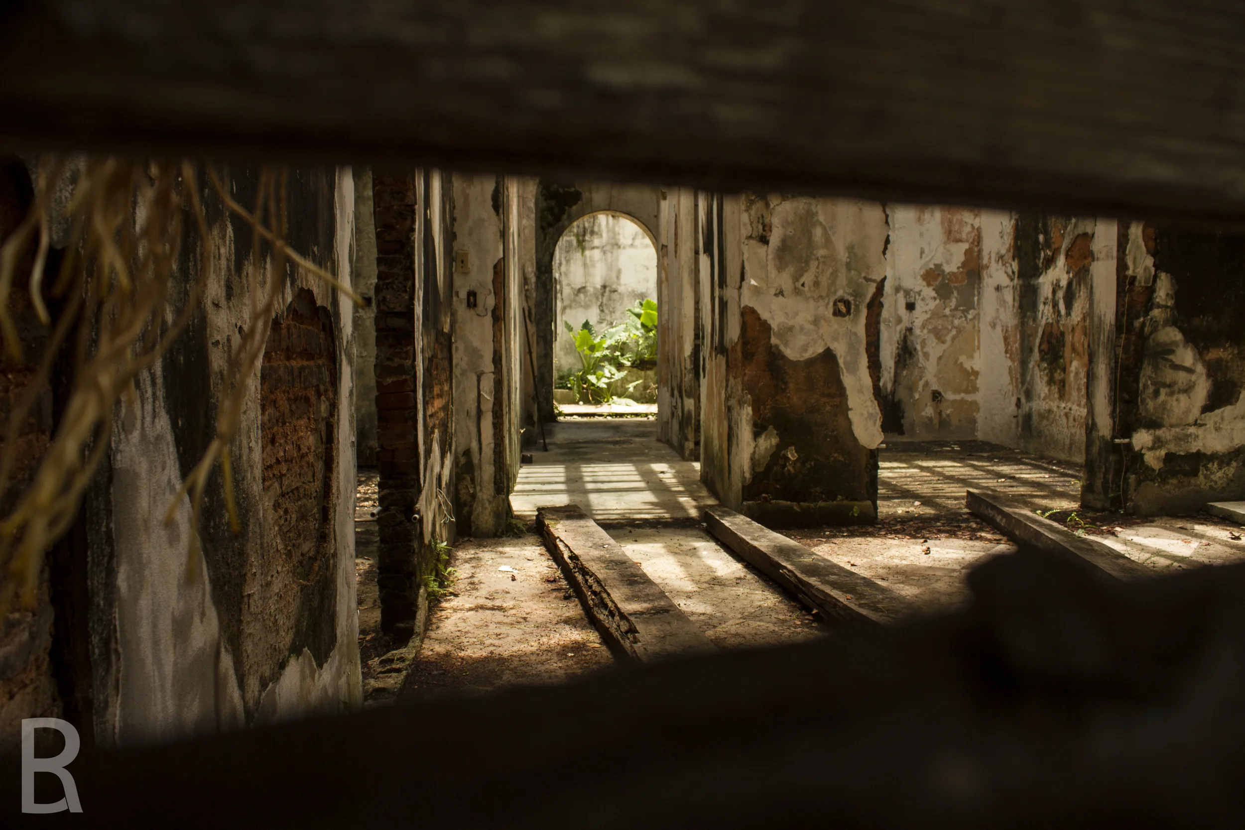 SITE-Puerto Rico-48.jpg
