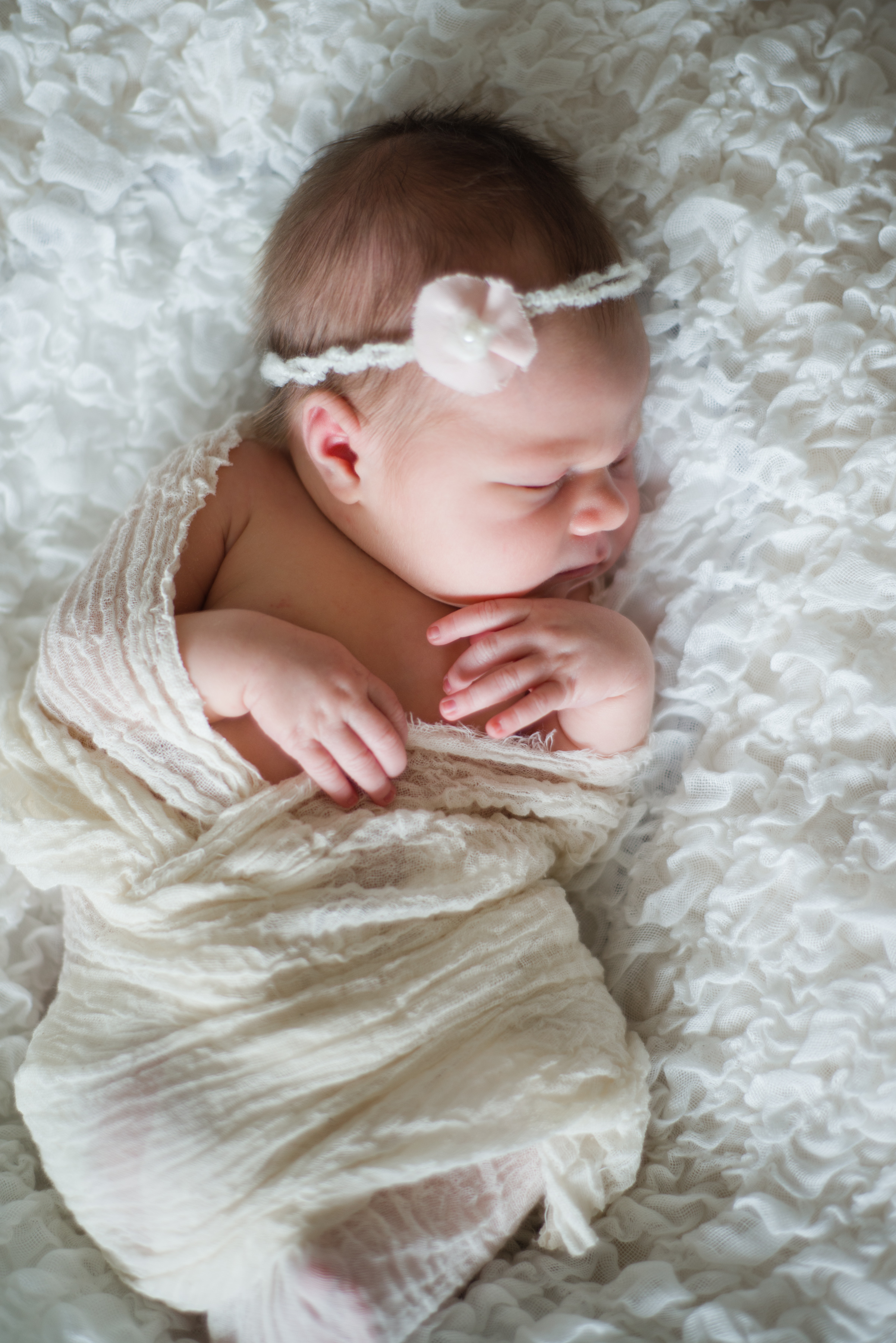 morse_newborn-9224.jpg