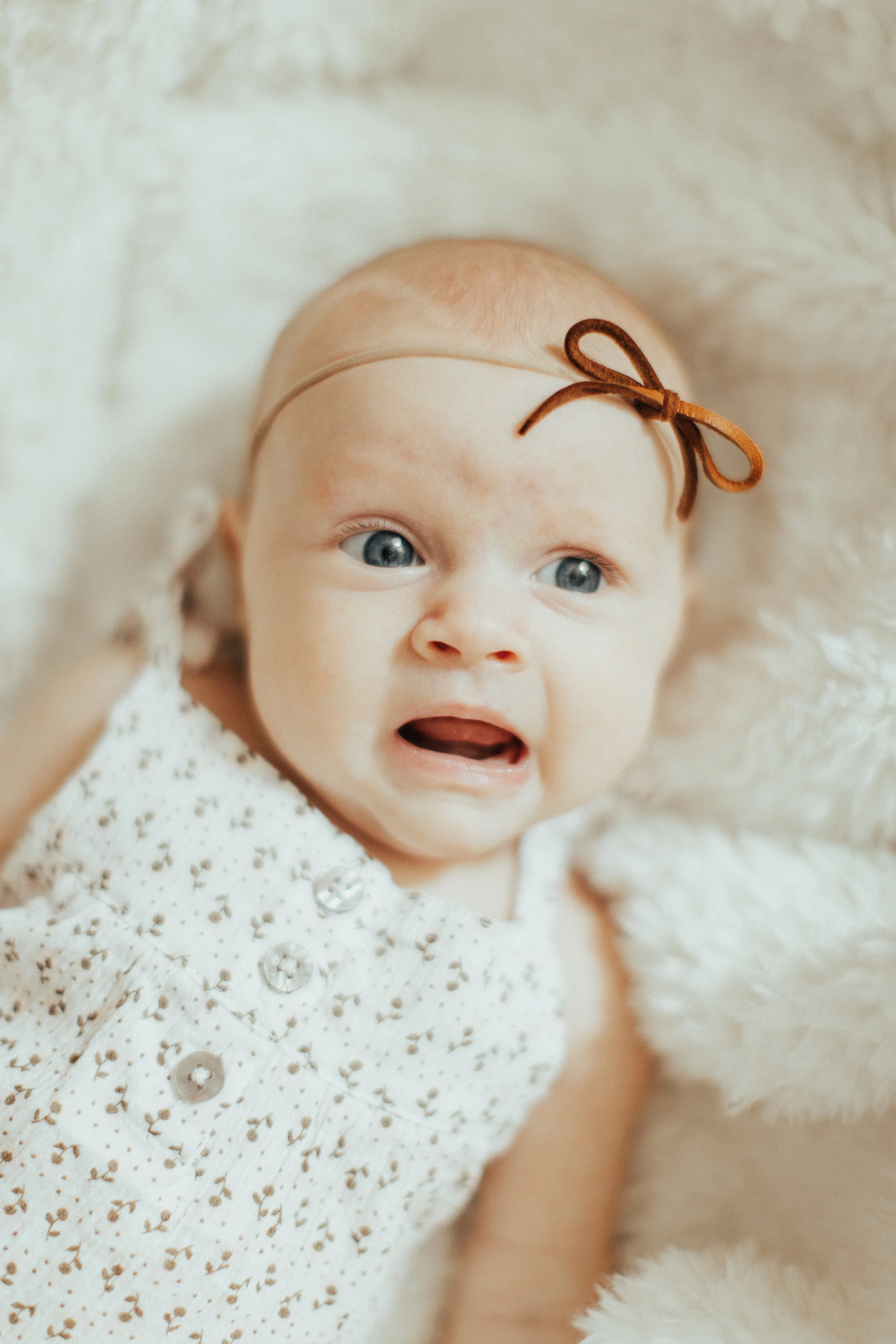 GACo_Baby-Wren_102817-69.jpg