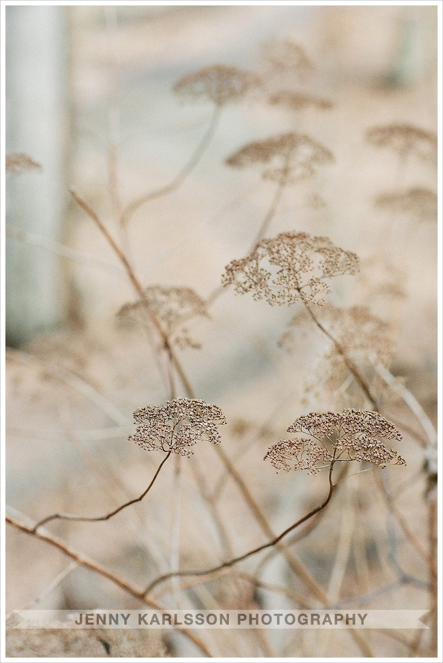 2013-02-26_002