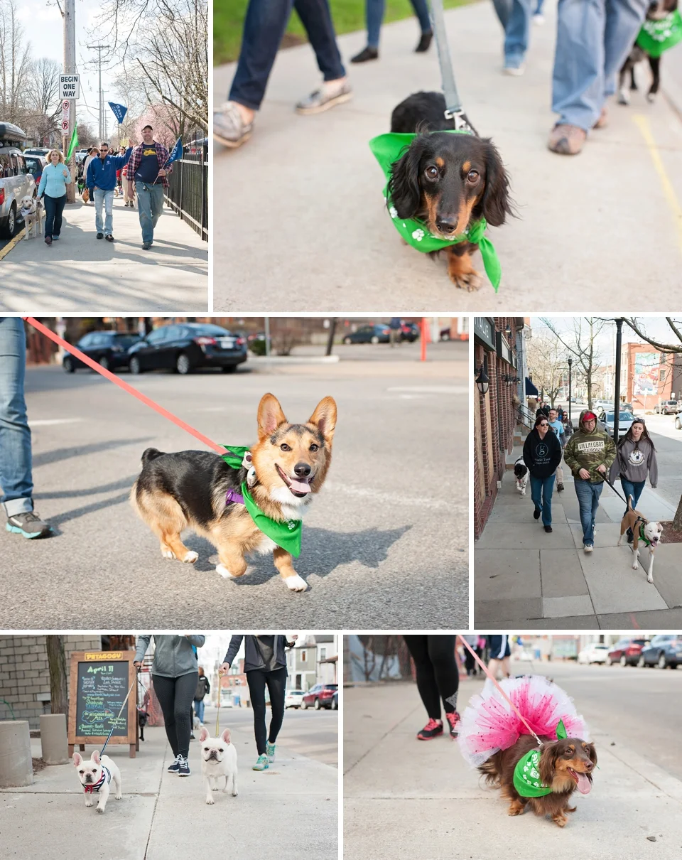 Bark Shadyside 044