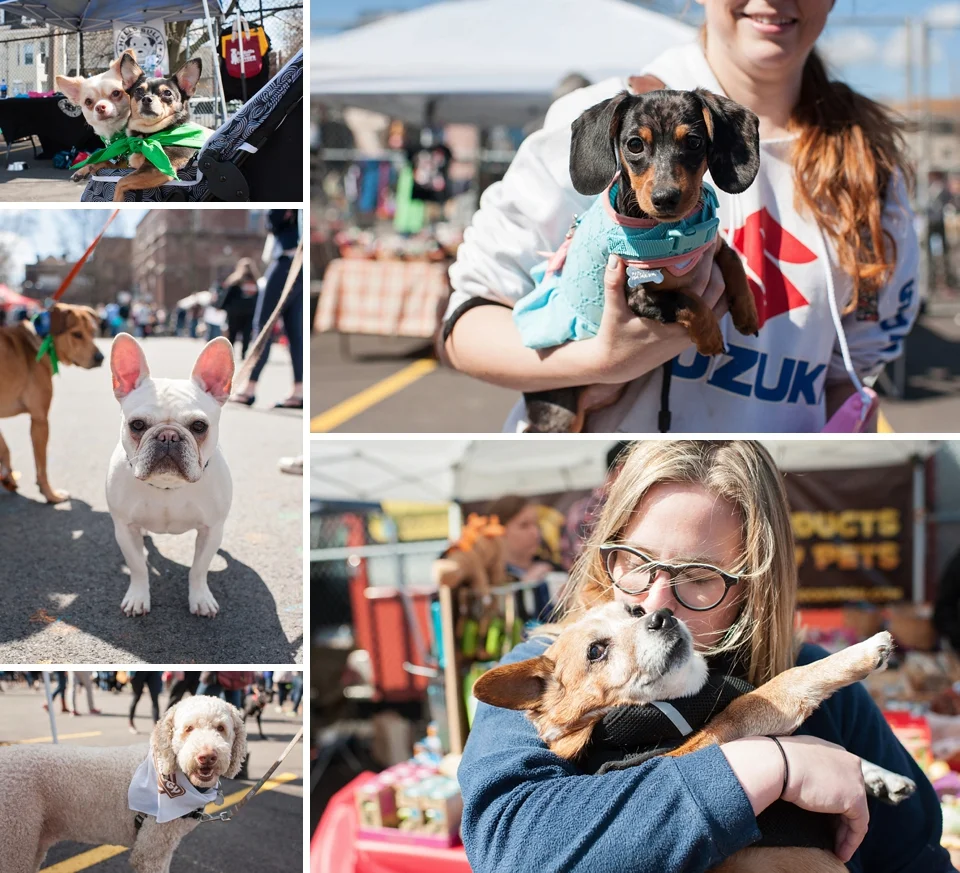 Bark Shadyside 120