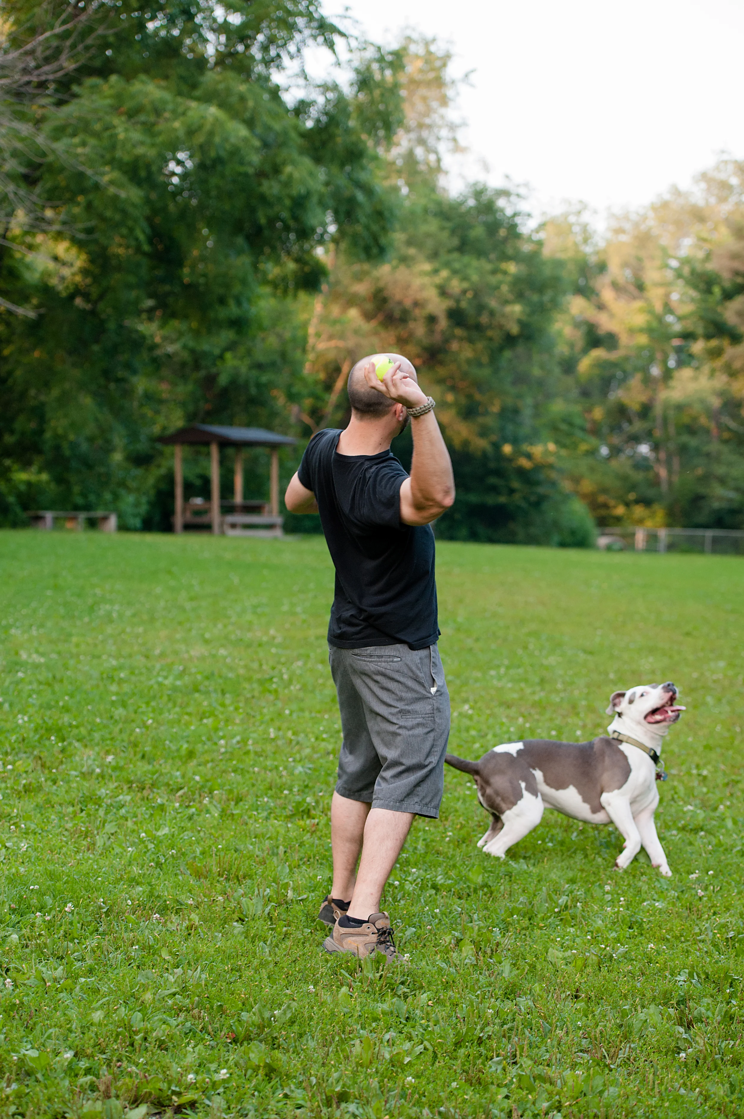 pittsburgh-pet-photography-brewknow-04.jpg