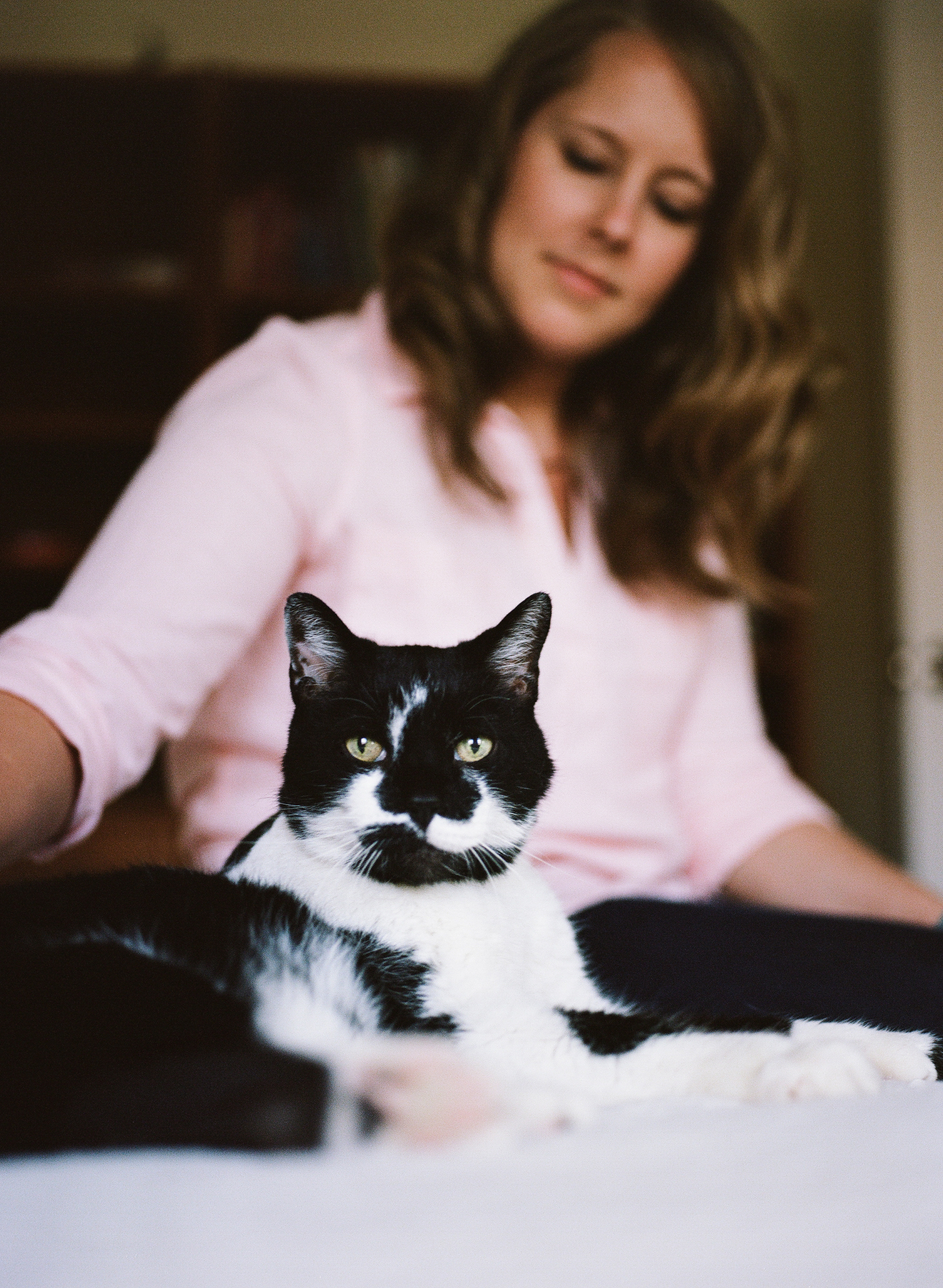 cat-photography-pittsburgh-raymond-03.jpg