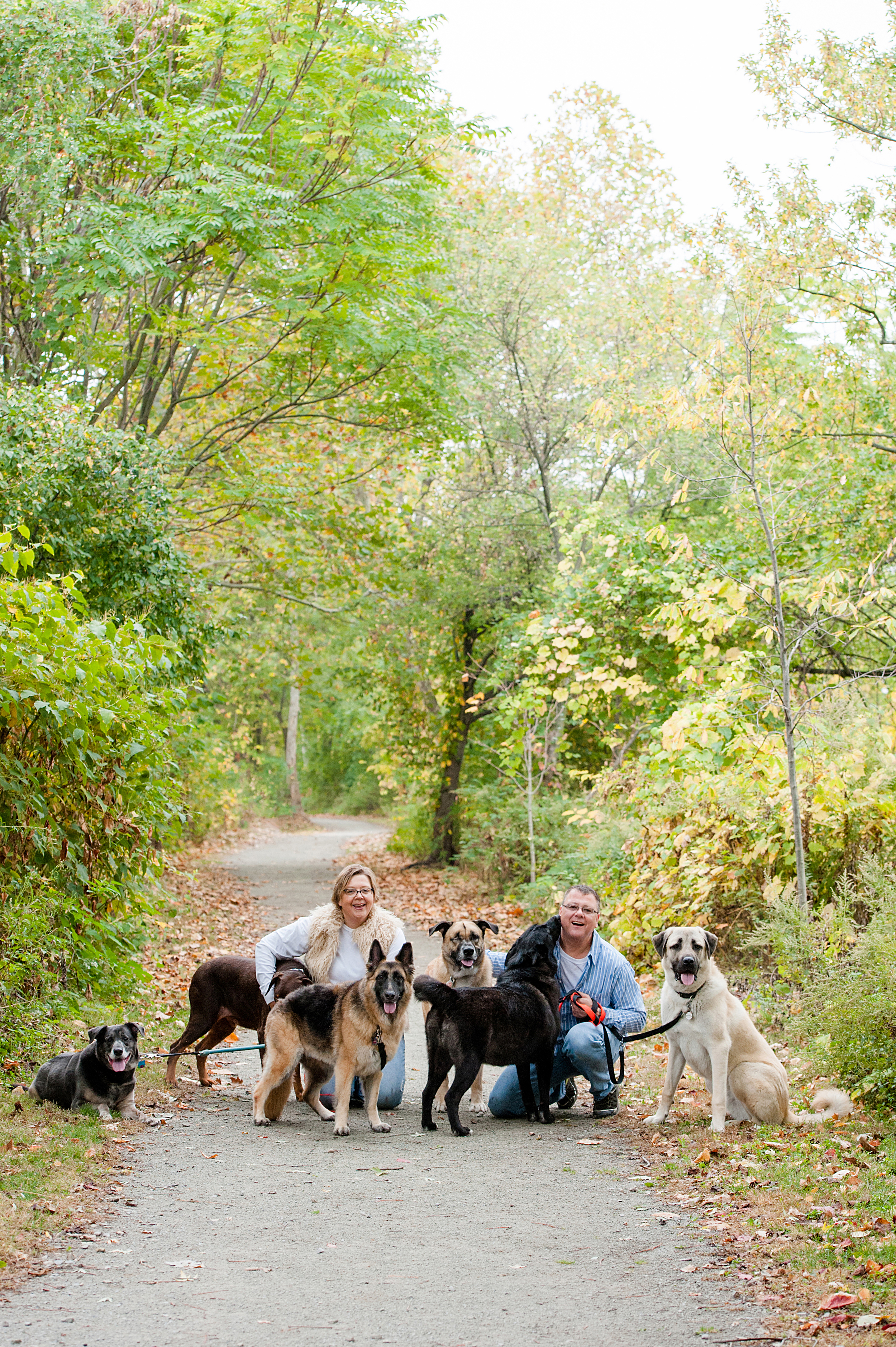 bernard-dog-run-pittsburgh-walsh10.jpg