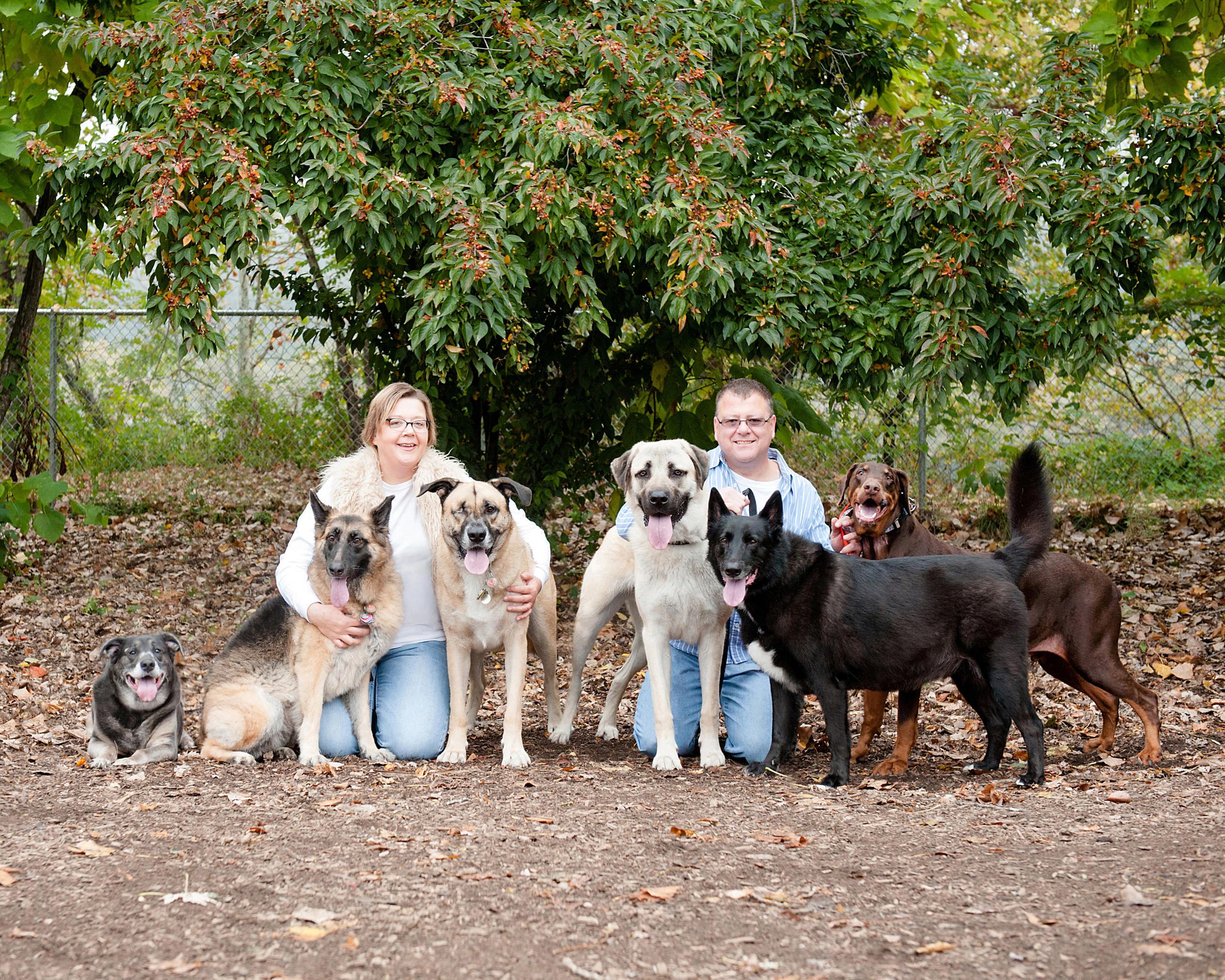 bernard-dog-run-pittsburgh-walsh24.jpg