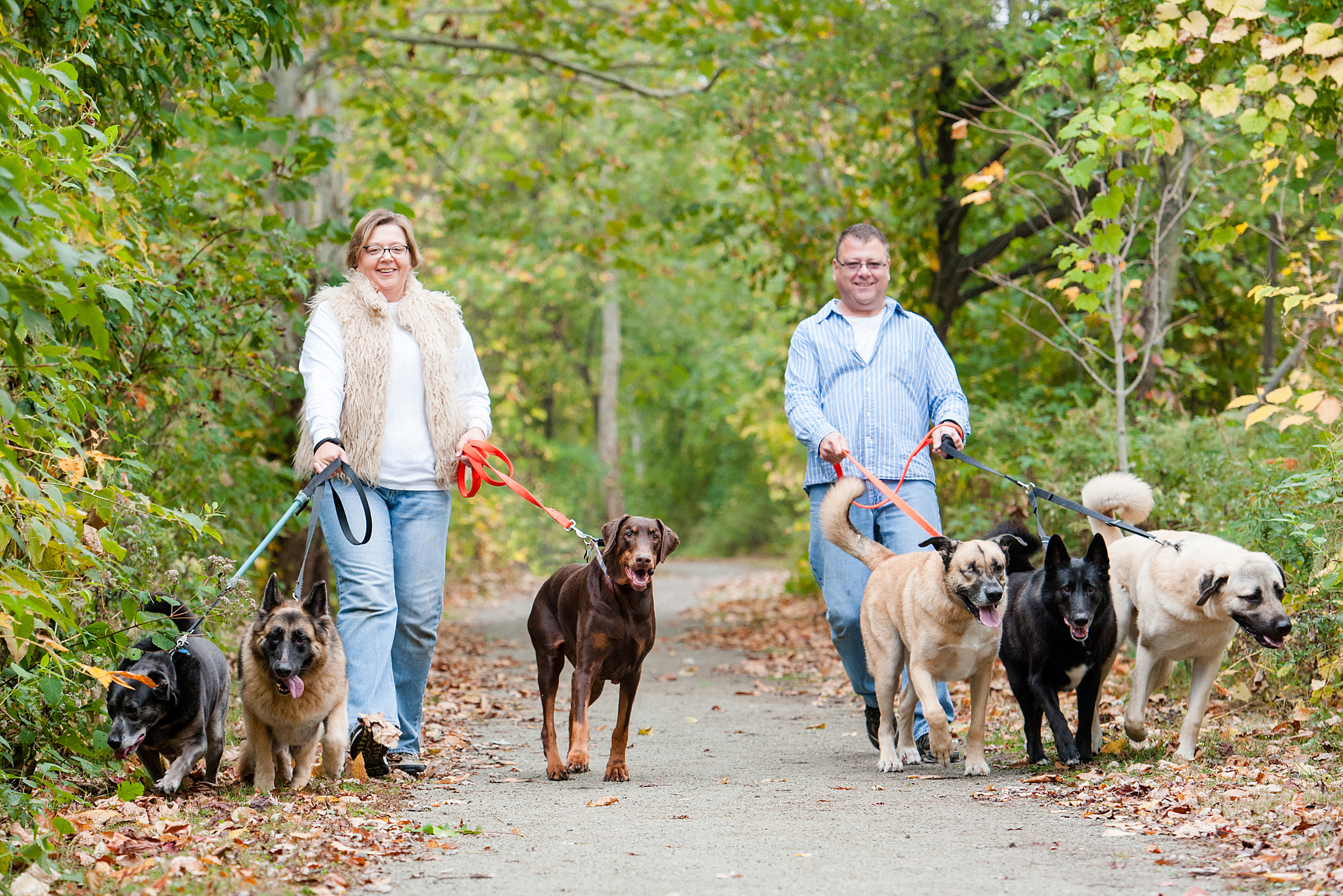 bernard-dog-run-pittsburgh-walsh25.jpg