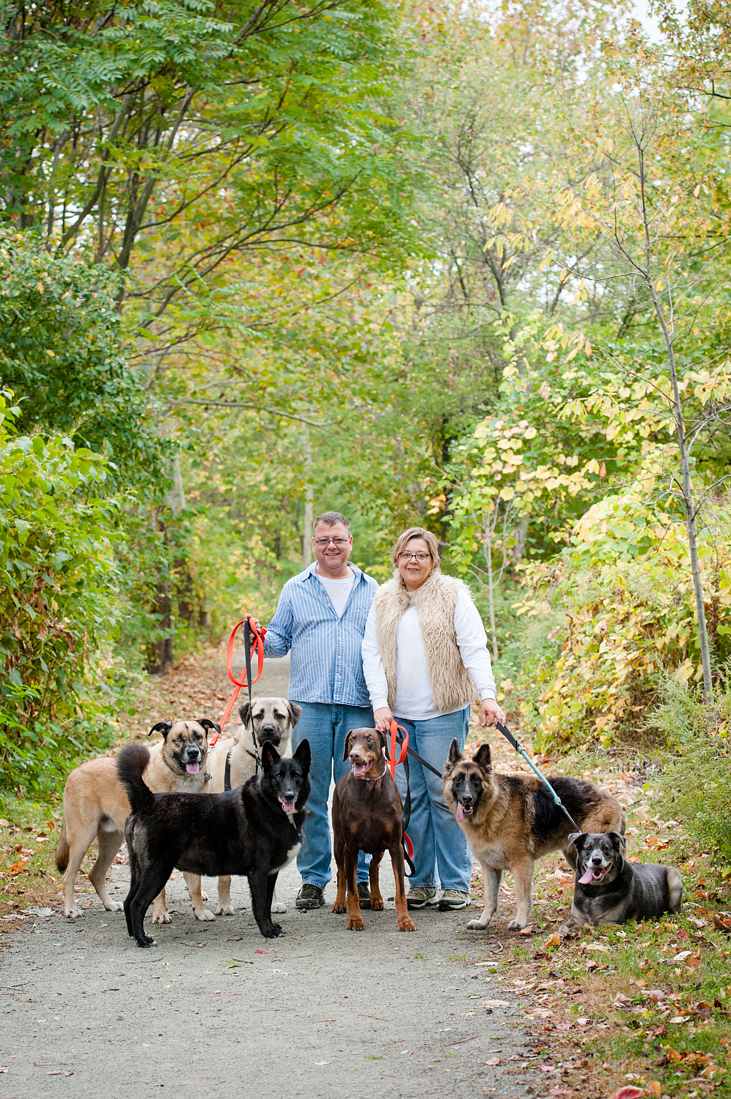 bernard-dog-run-pittsburgh-walsh26.jpg