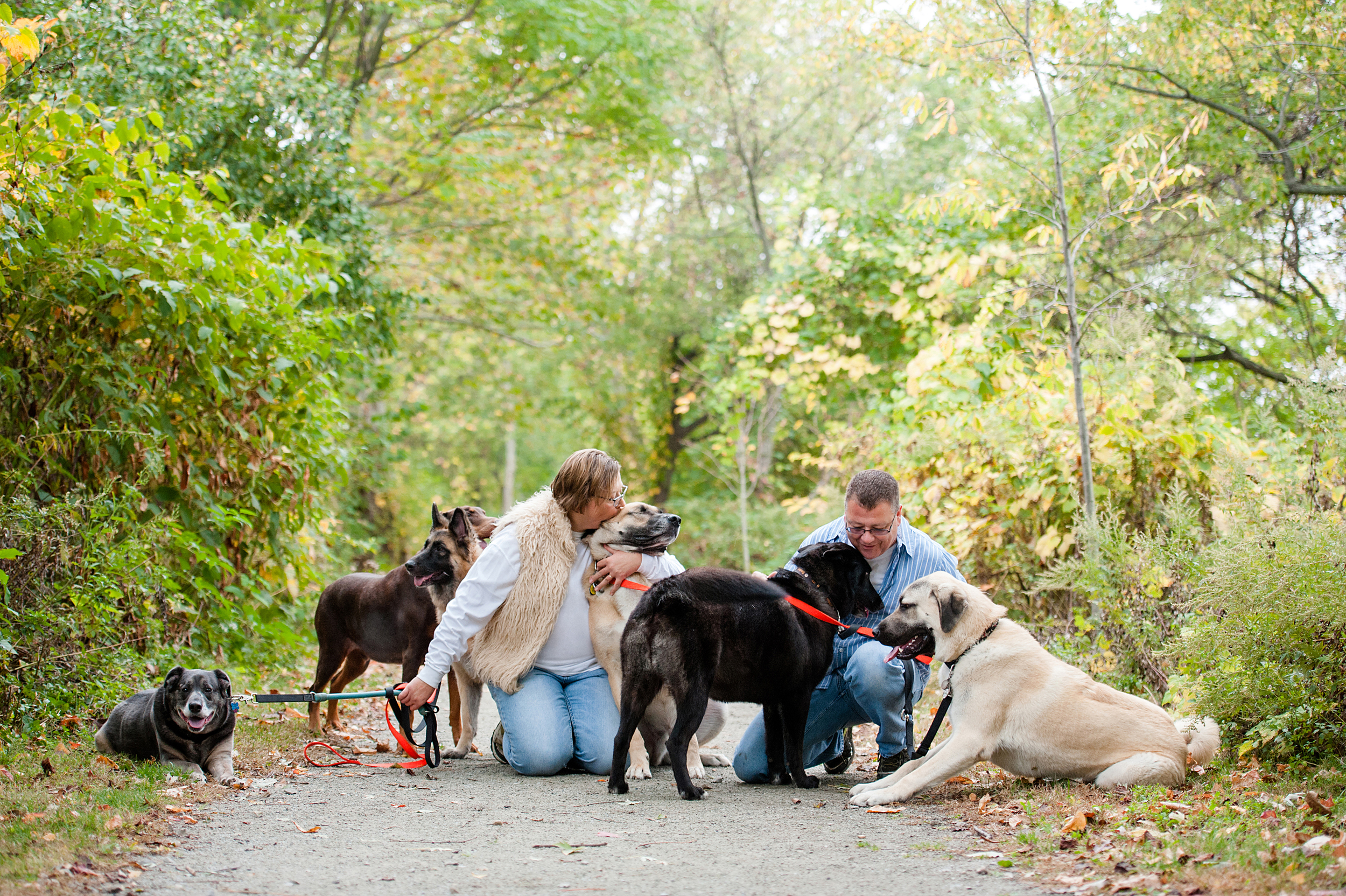 bernard-dog-run-pittsburgh-walsh27.jpg