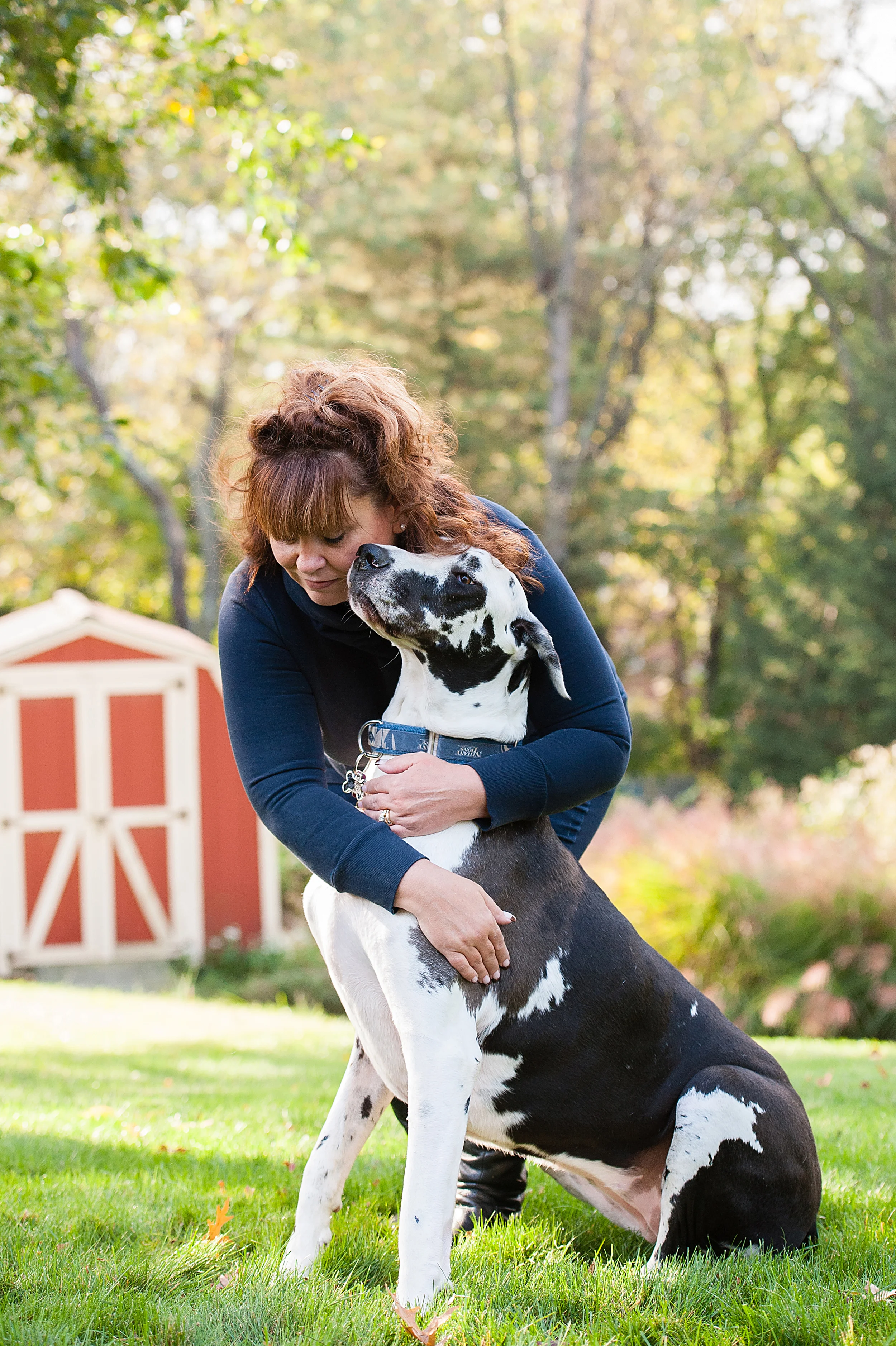 daisy-great-dane-pittsburgh-006.jpg