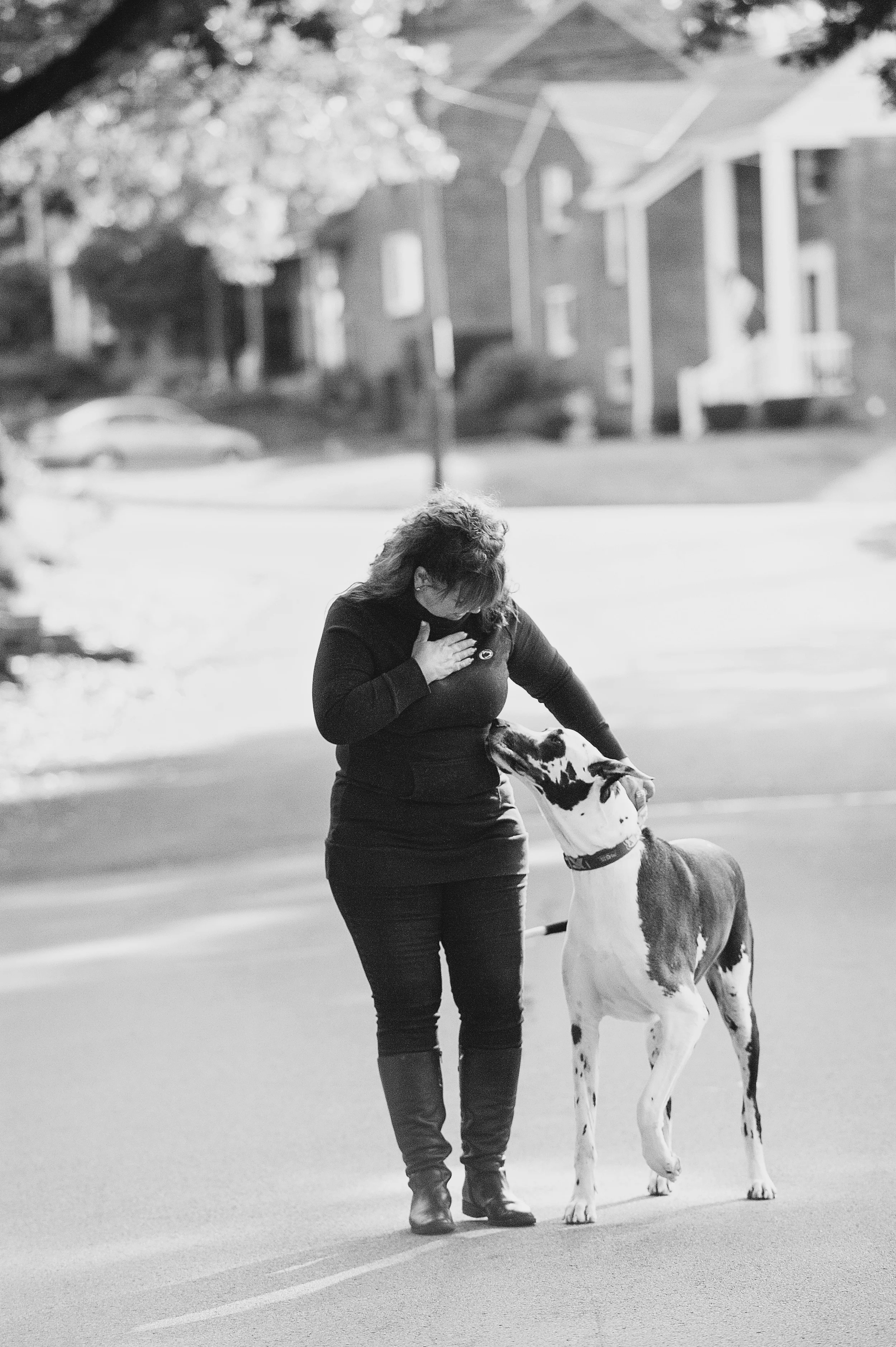 daisy-great-dane-pittsburgh-014.jpg