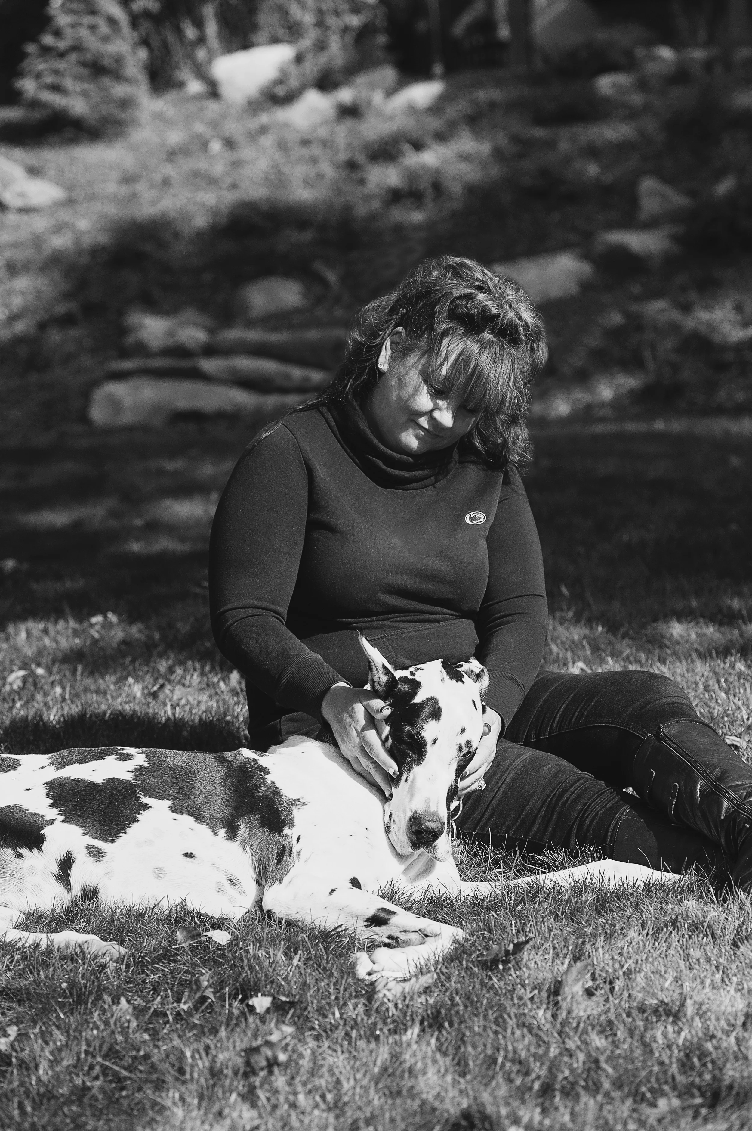 daisy-great-dane-pittsburgh-019.jpg
