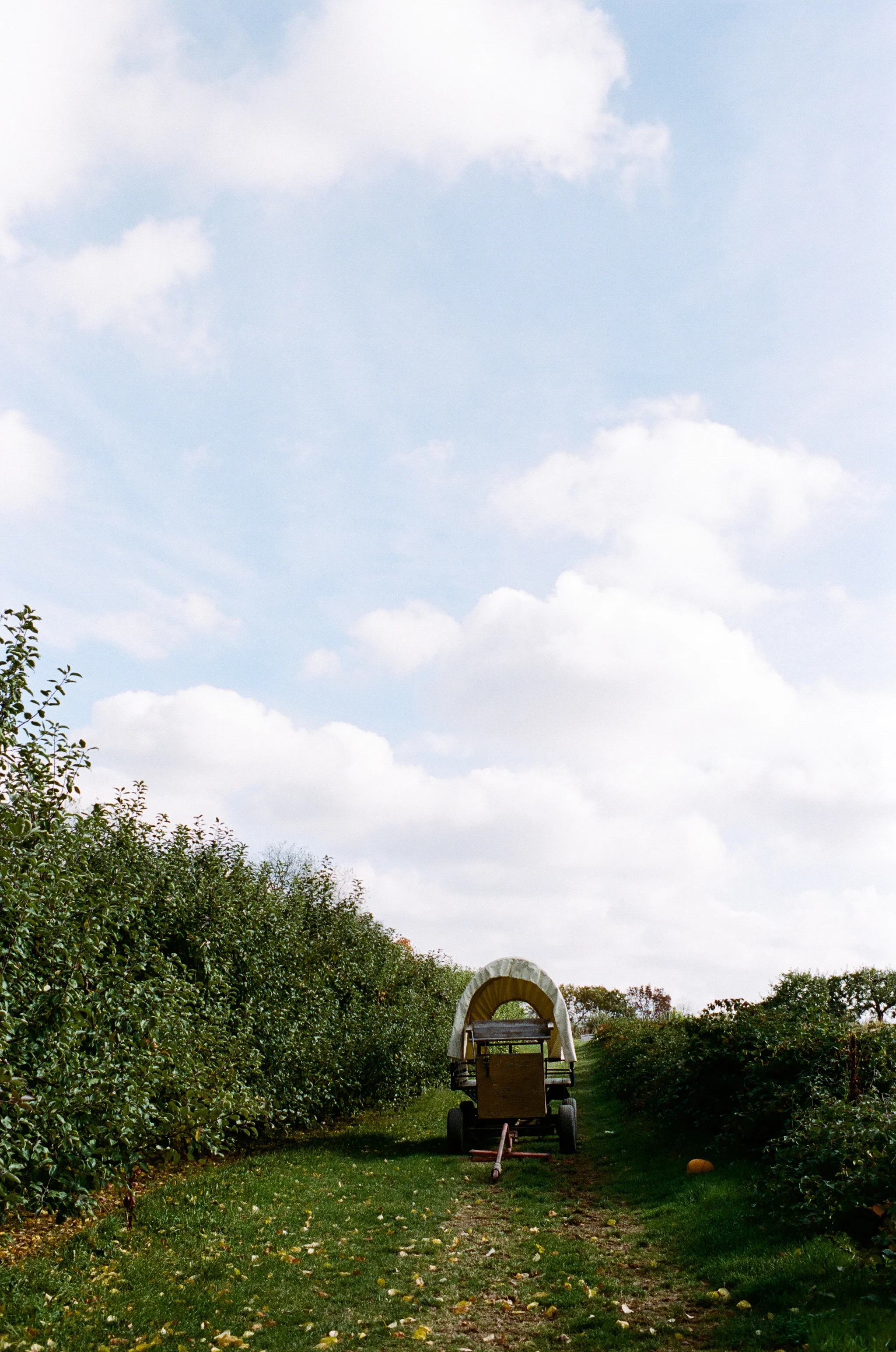 soergel-orchards-pittsburgh-014.jpg