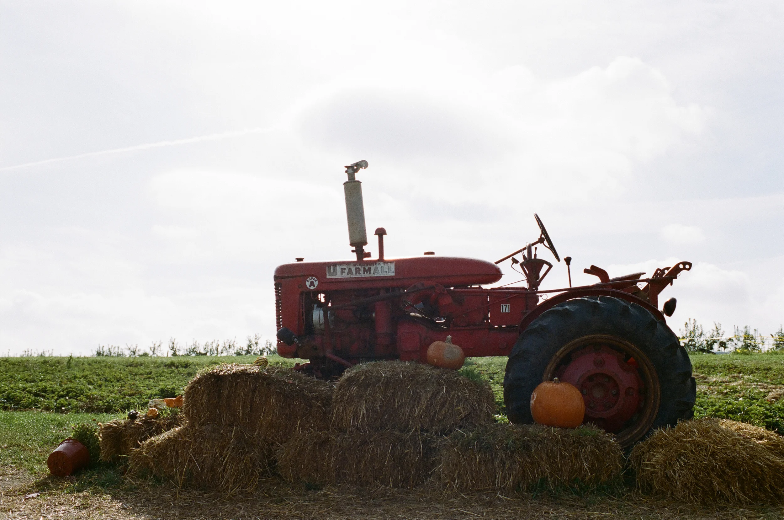 soergel-orchards-pittsburgh-018.jpg