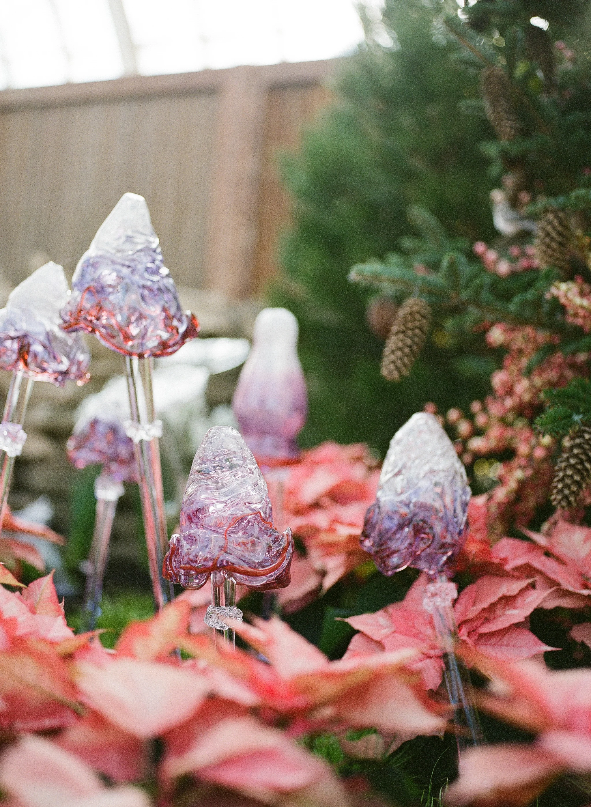 Phipps Conservatory Pittsburgh Winter Flower Show 013.jpg