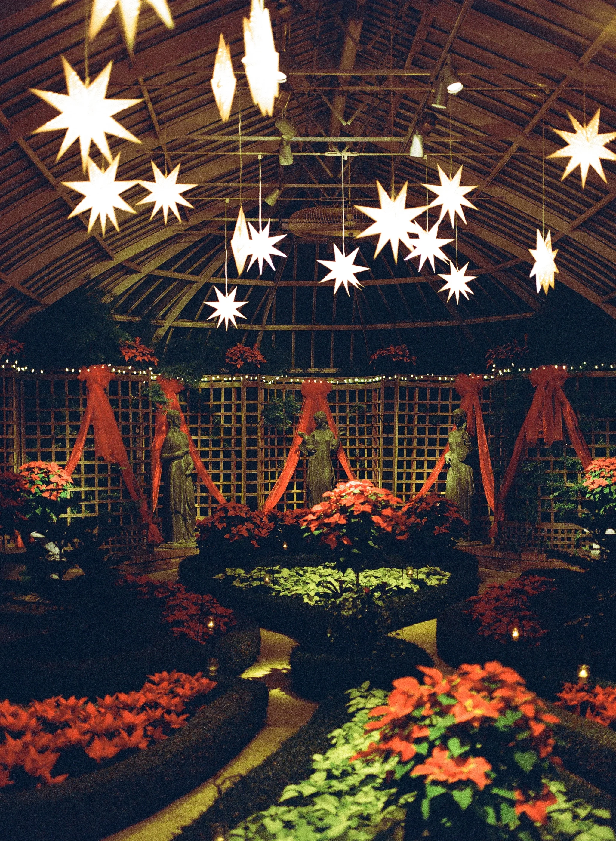 Phipps Conservatory Pittsburgh Winter Flower Show 019.jpg