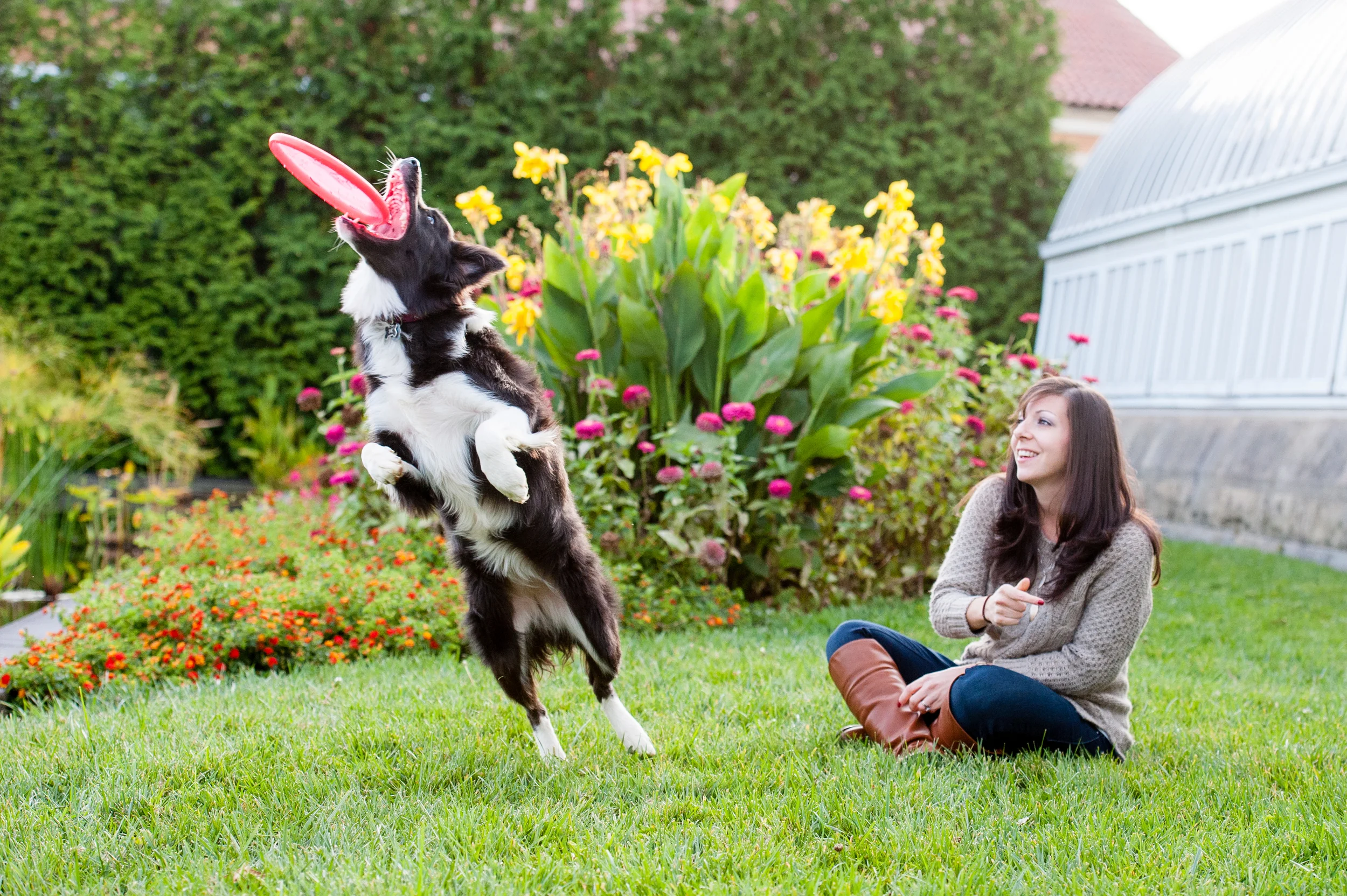 Leap Day Dog Photography Jenny Karlsson 006.jpg