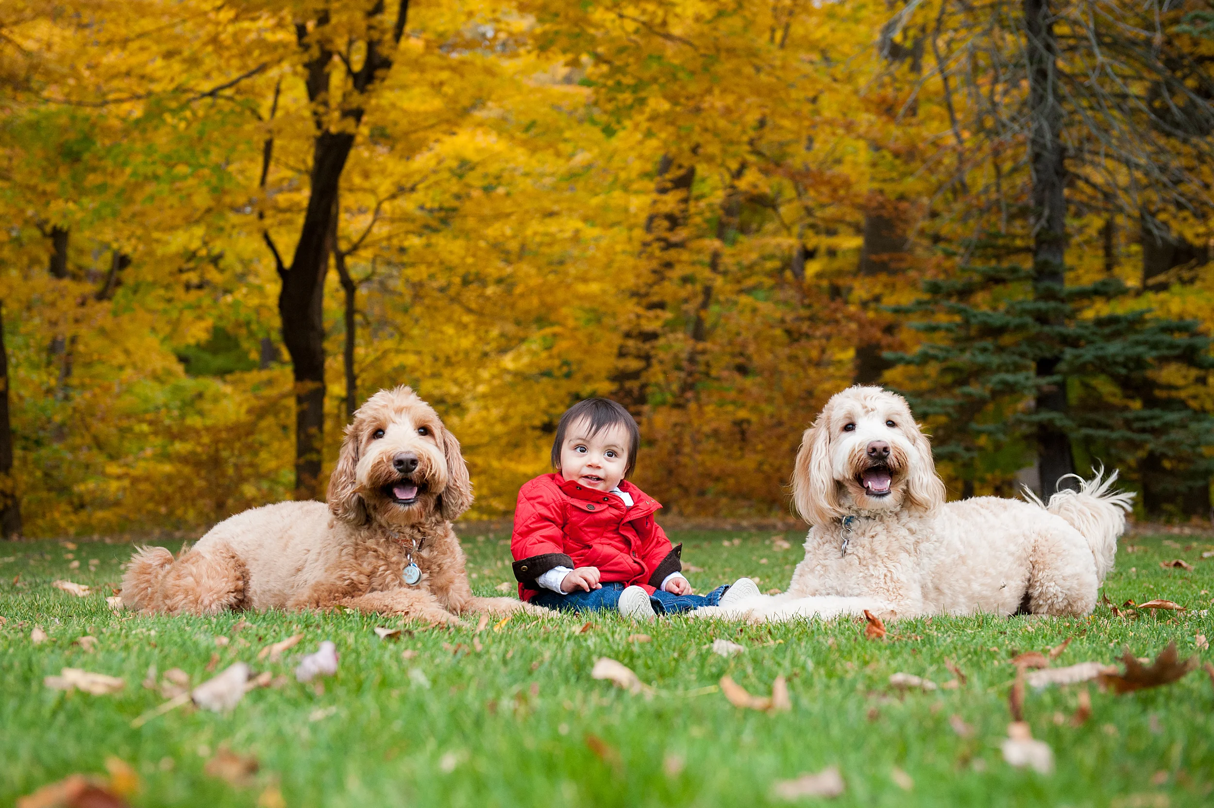 Pet and Family Photographer Erie Pennsylvania 049.jpg