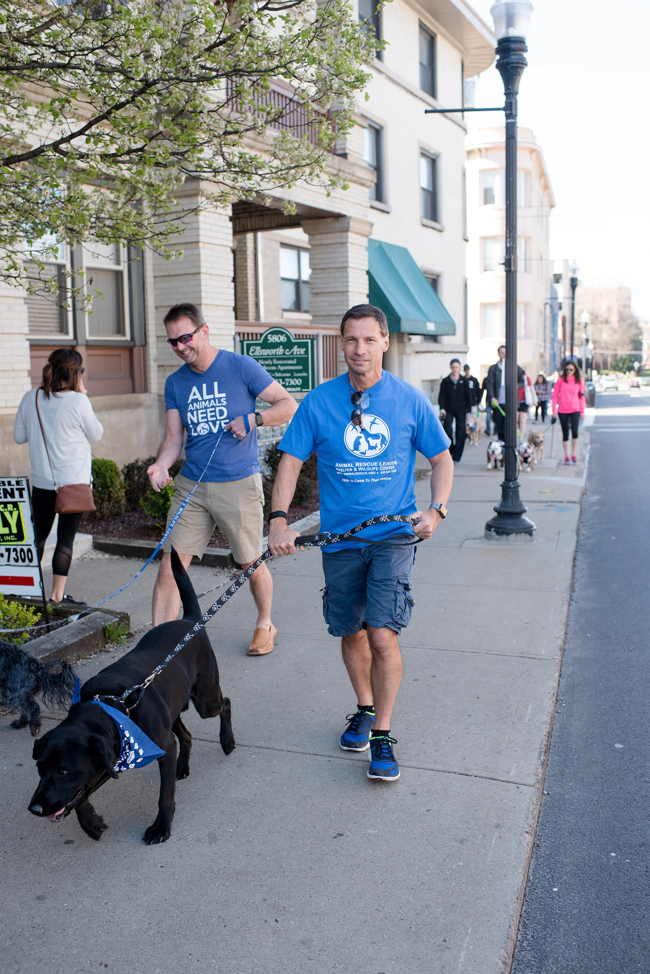 Bark Shadyside Pup Walk Pittsburgh 2016 061.jpg