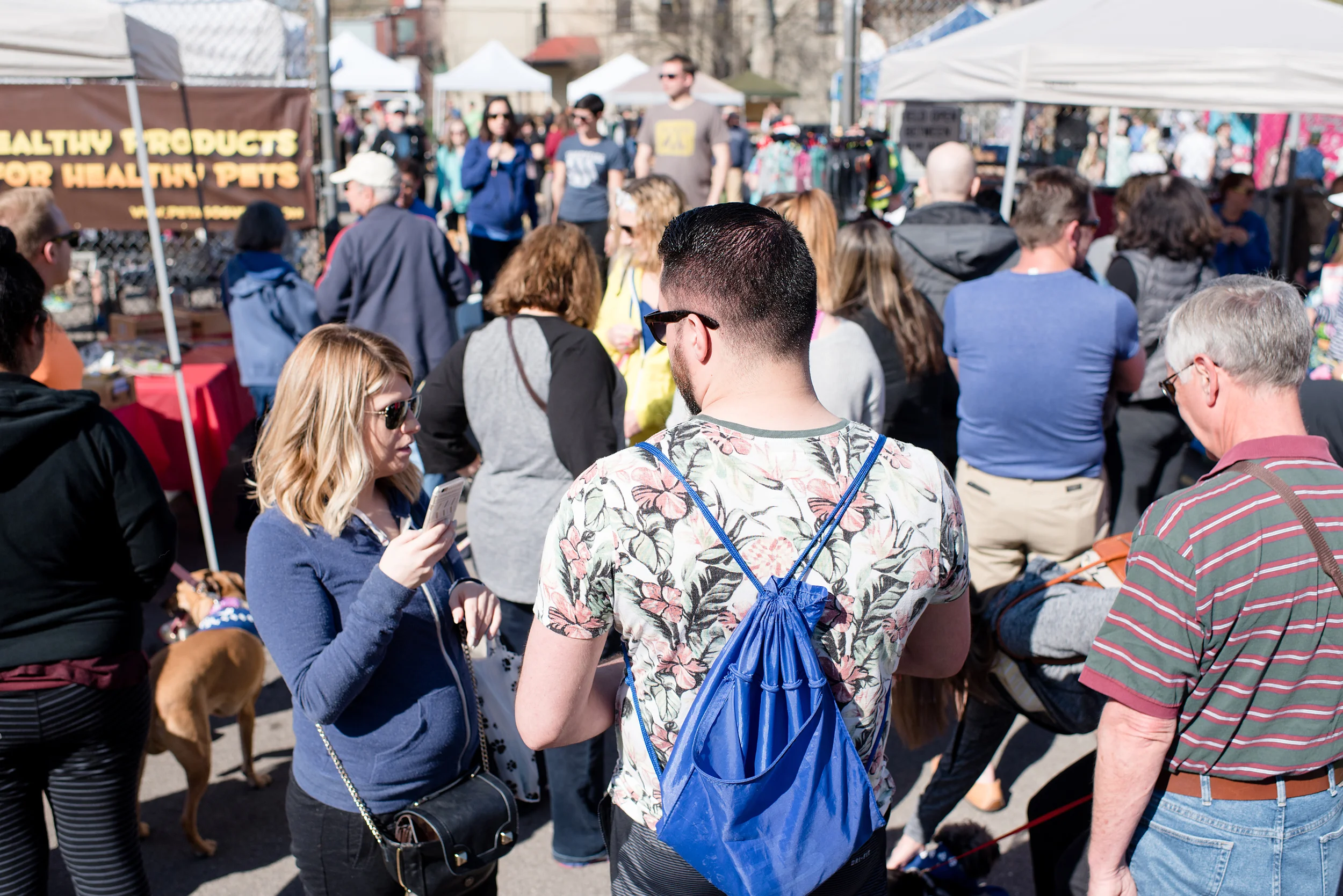 Bark Shadyside Pup Walk Pittsburgh 2016 044.jpg
