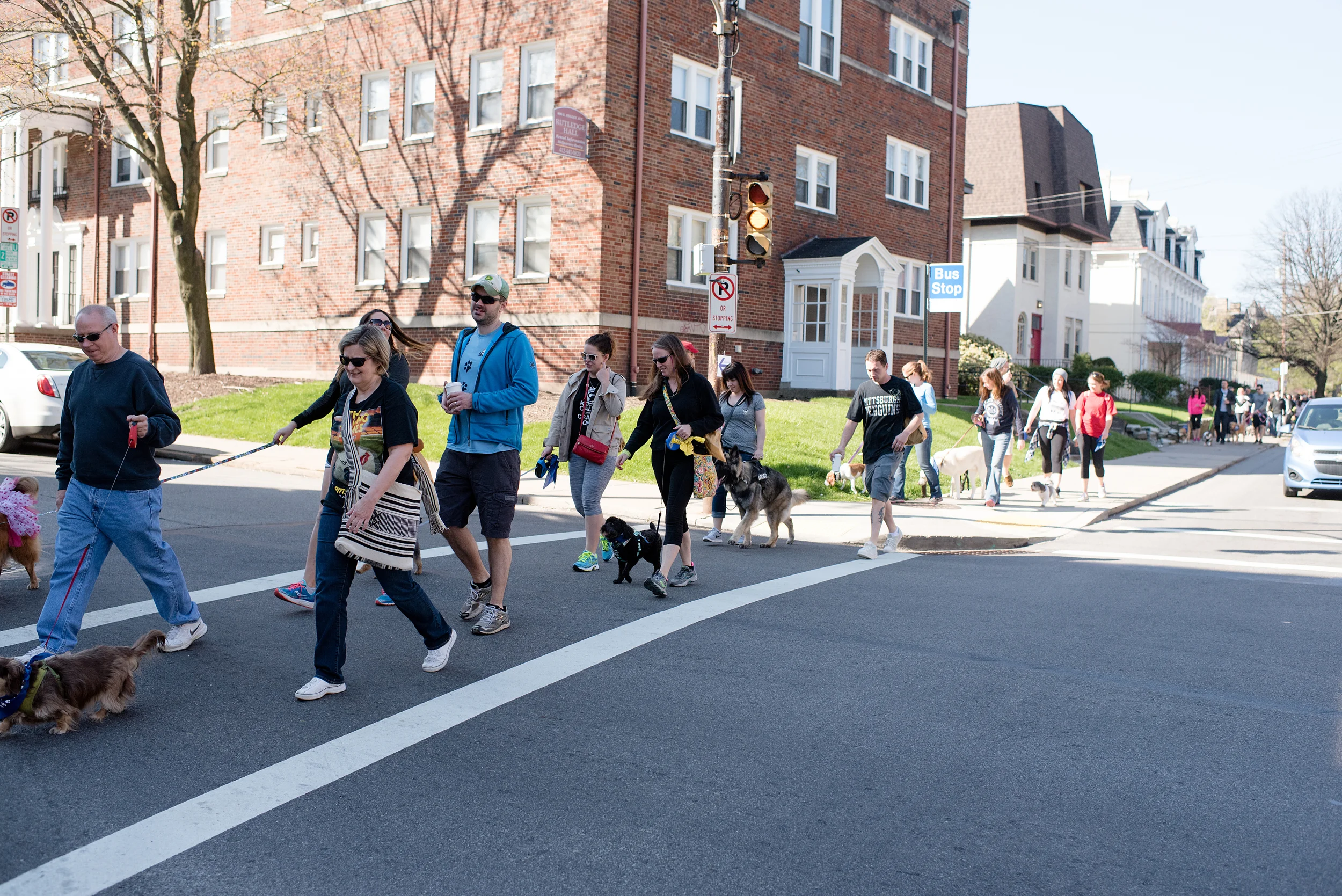 Bark Shadyside Pup Walk Pittsburgh 2016 050.jpg