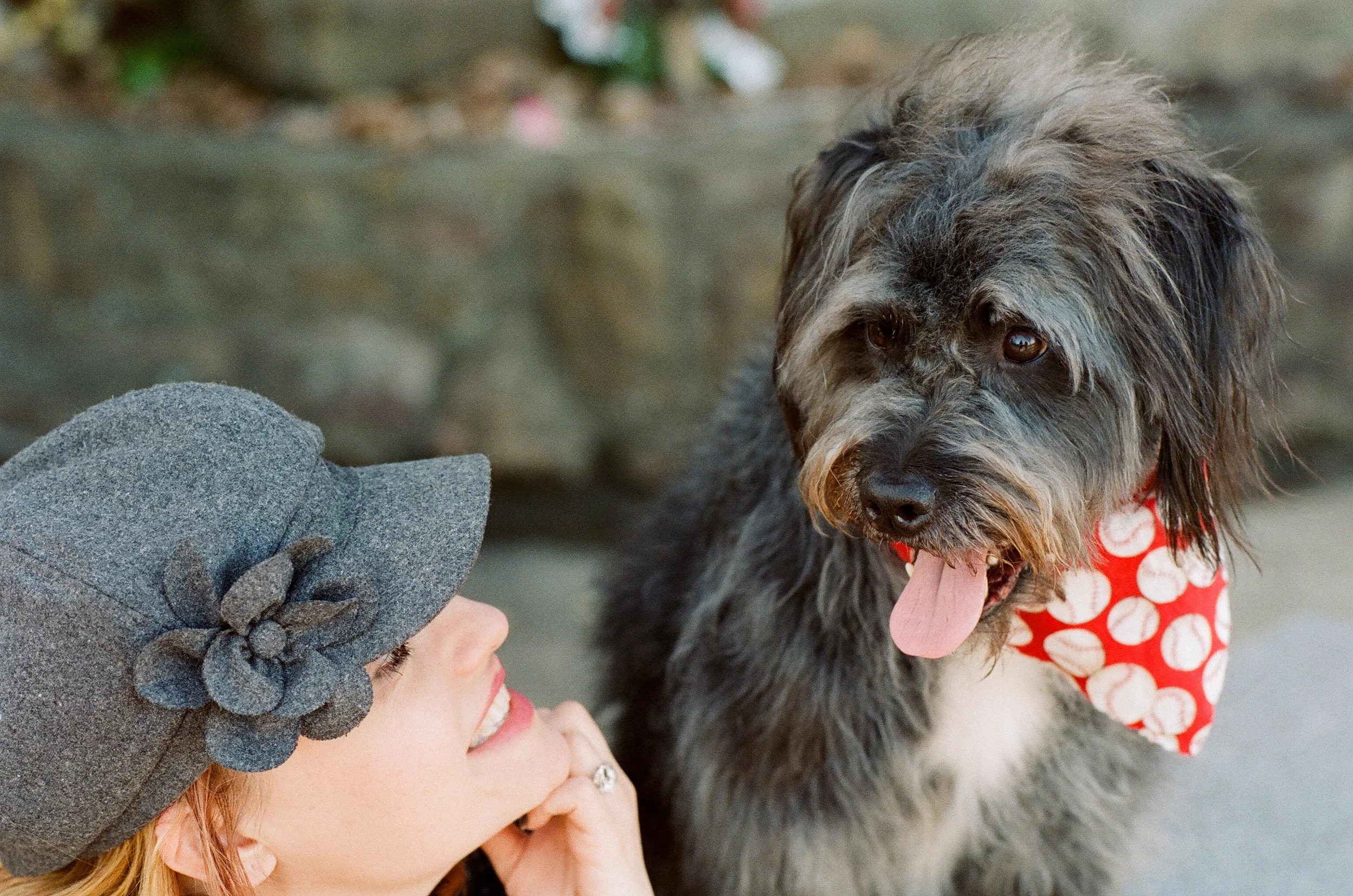 greensburg-pet-photography-tux-010.jpg