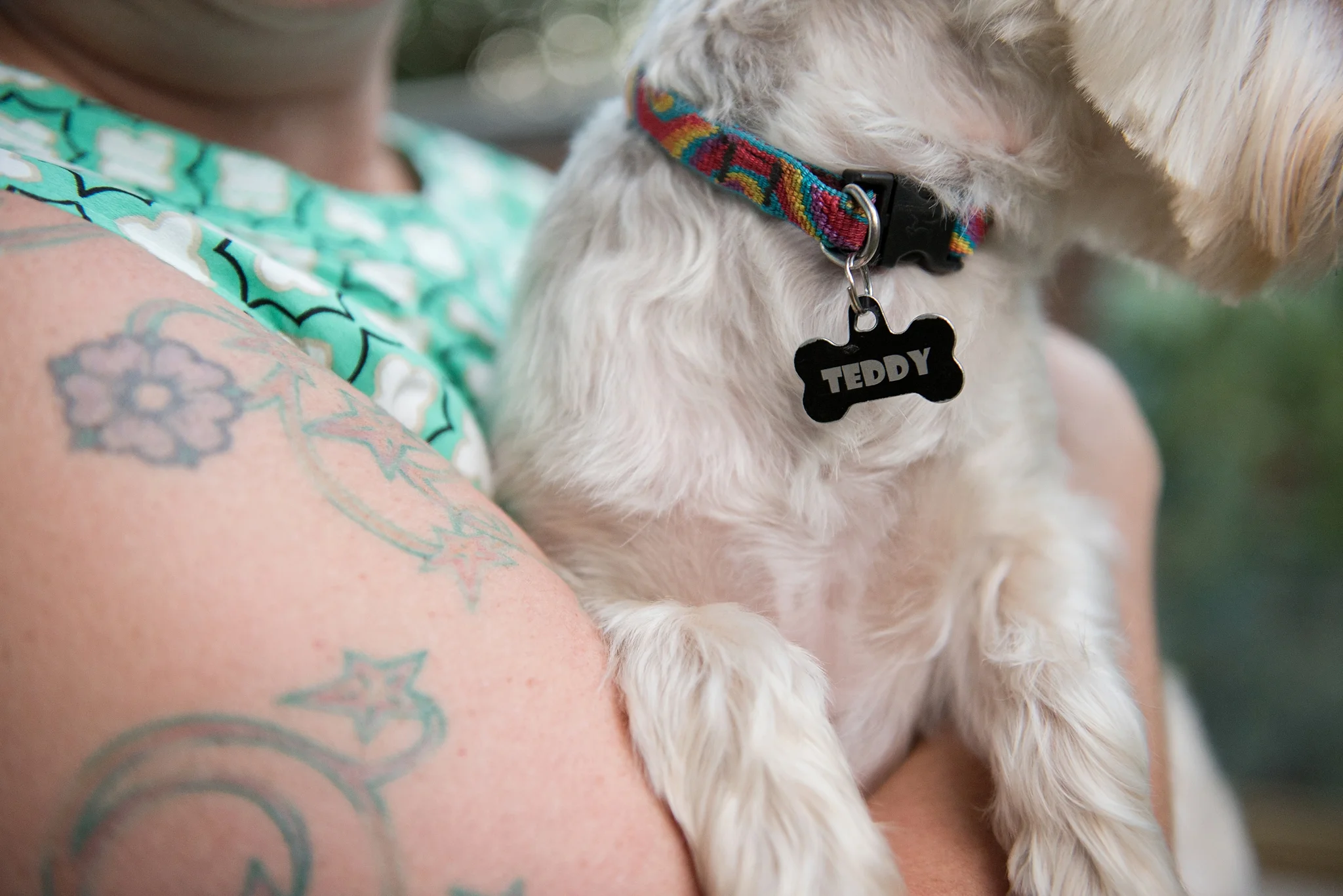 Jenny Karlsson Pet Photography Pittsburgh 968.jpg