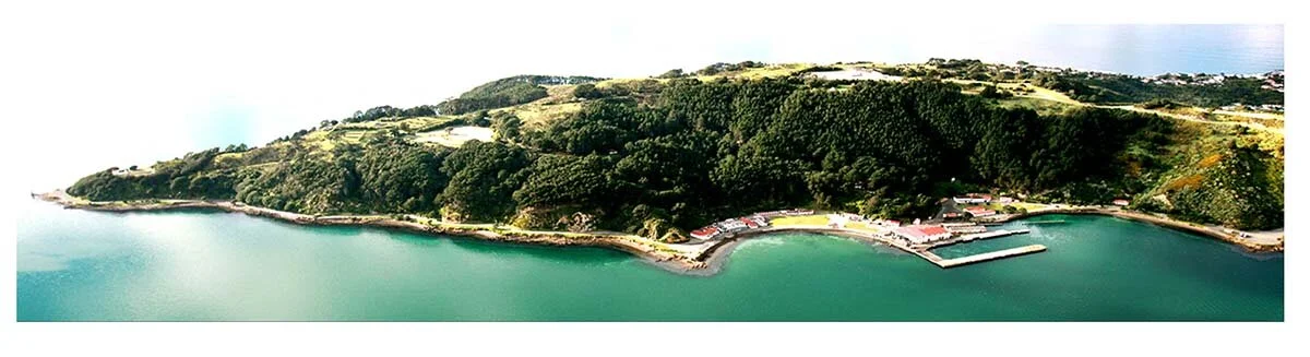 Shelly Bay.jpg