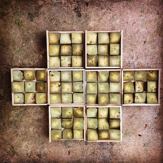 8 Unpainted Nantuckets