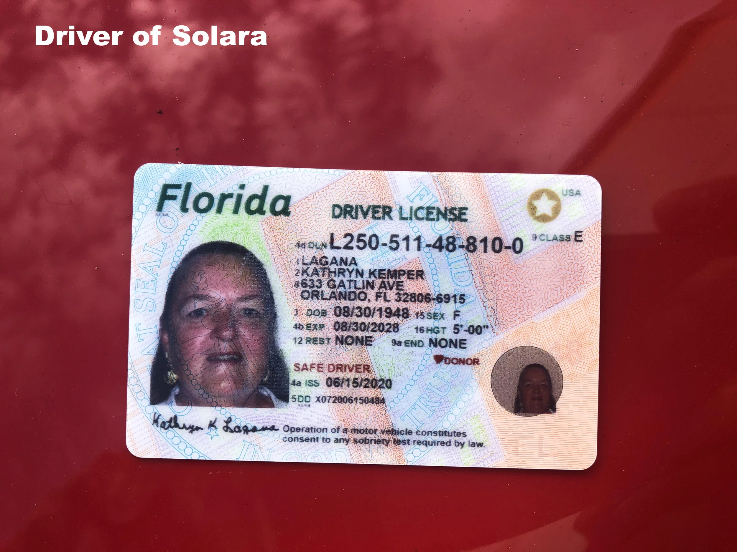 Driver 1.jpg