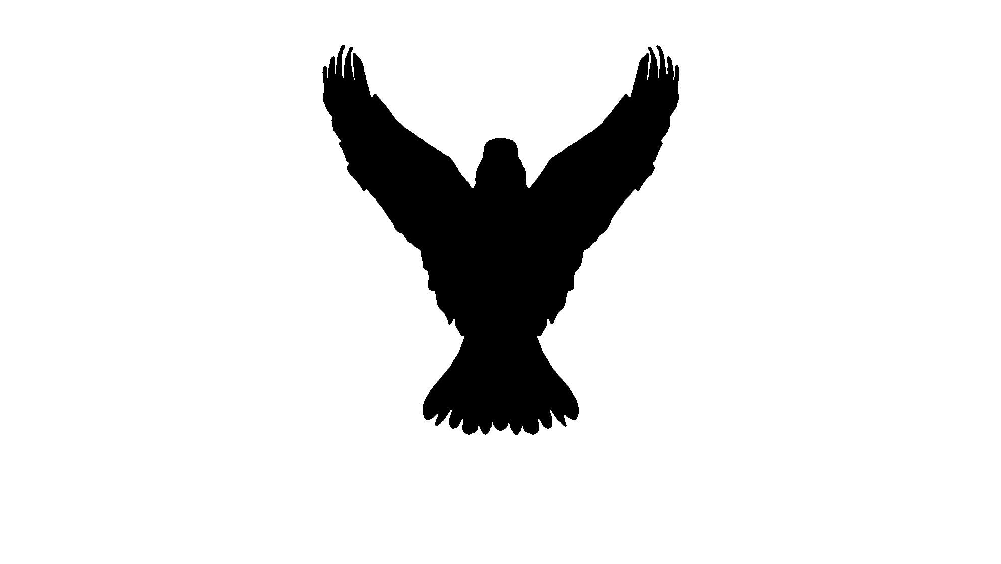 14-Eagle.gif