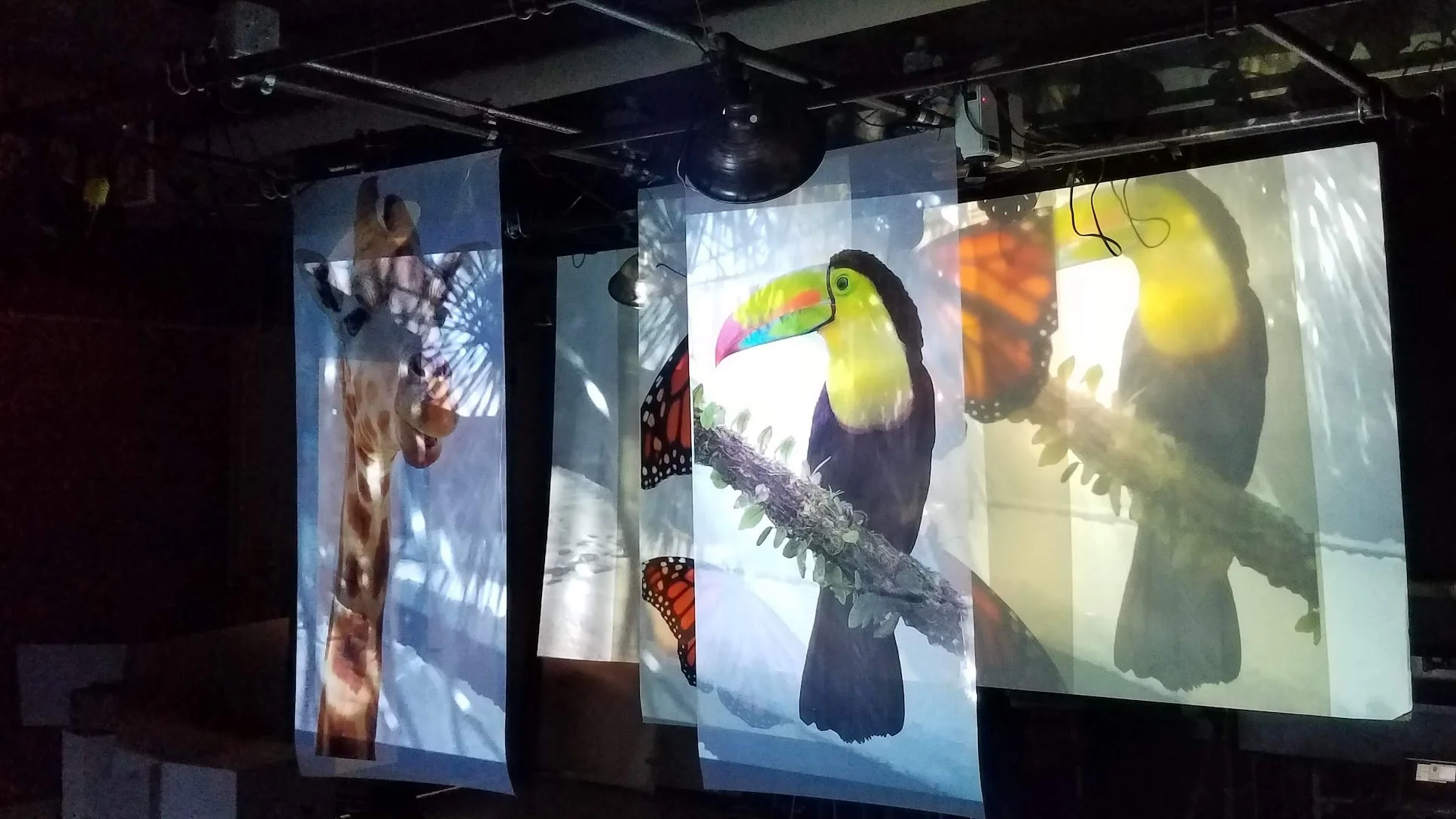 Image, Time & Digital Media