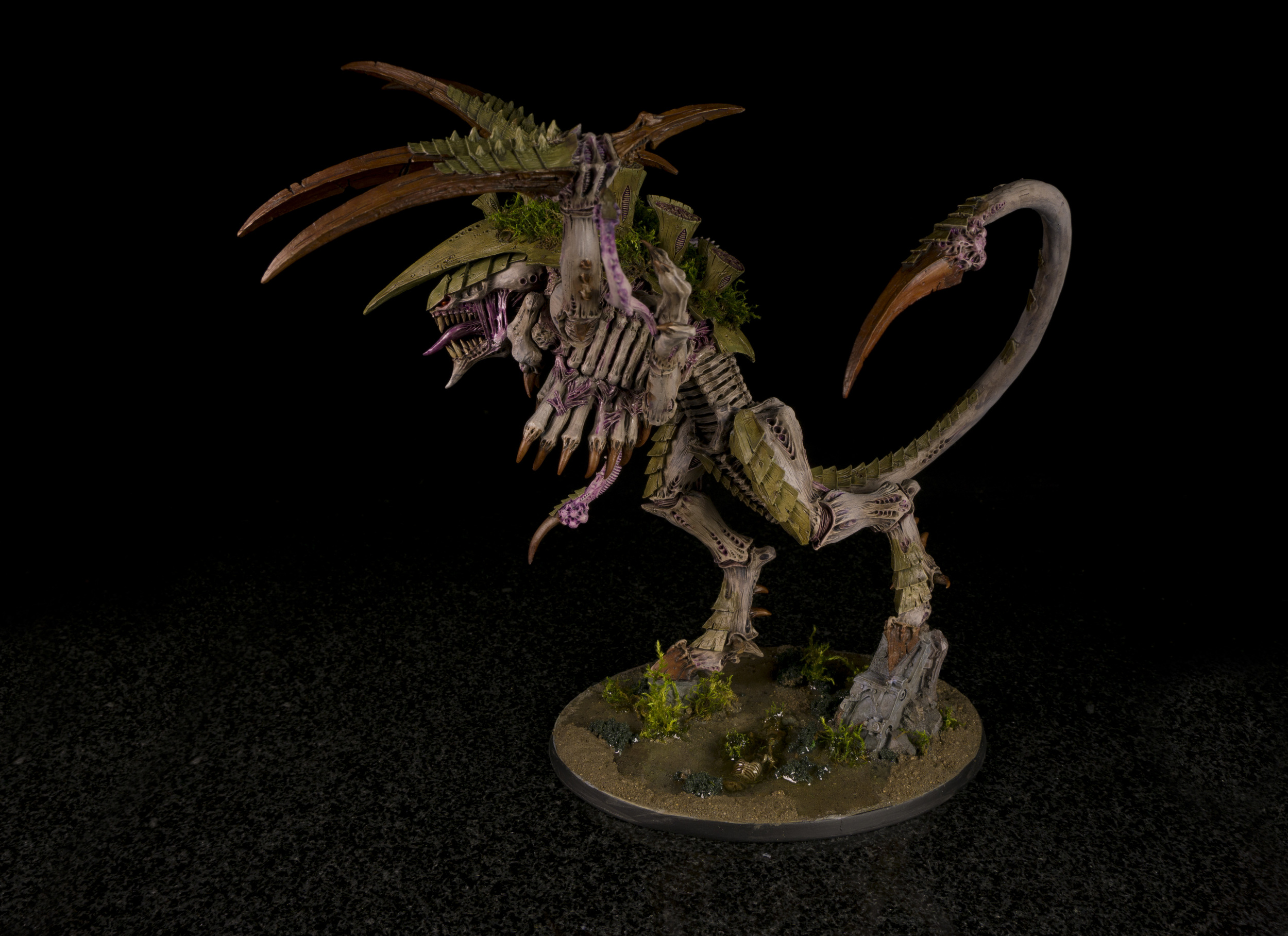 Dimachaeron