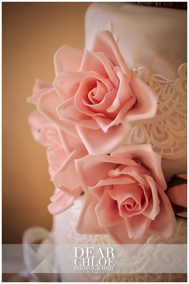 SouthernWeddingDearChloePhotography_0084.jpg