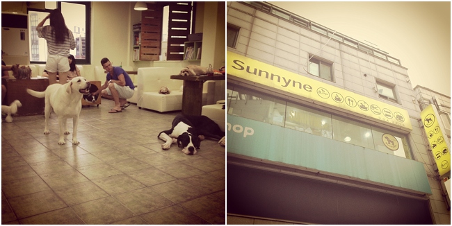CityGirlSearchingCuteKoreanCoffeeShopsJeonju_0101.jpg