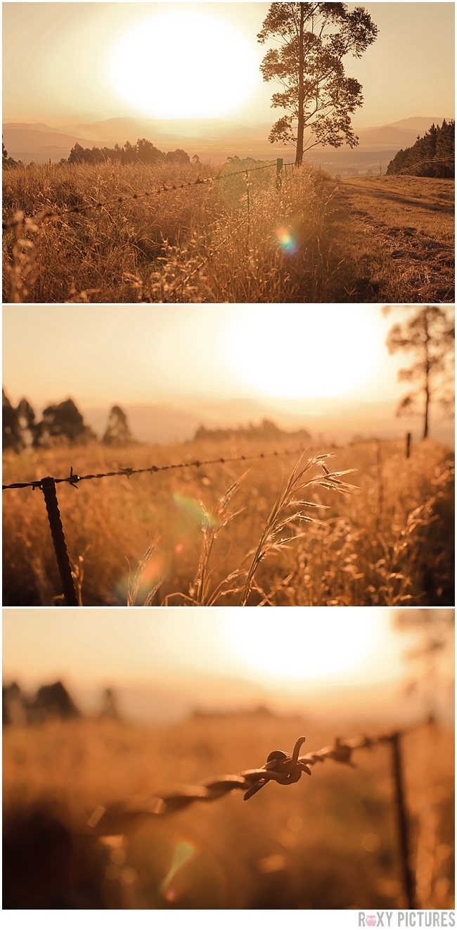 RoxyPicturesGoldenHour_0114.jpg