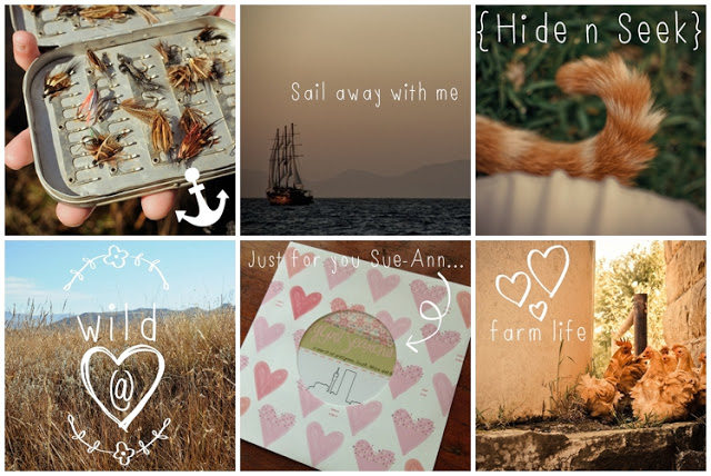 ABeautifulMessApp_0054.jpg
